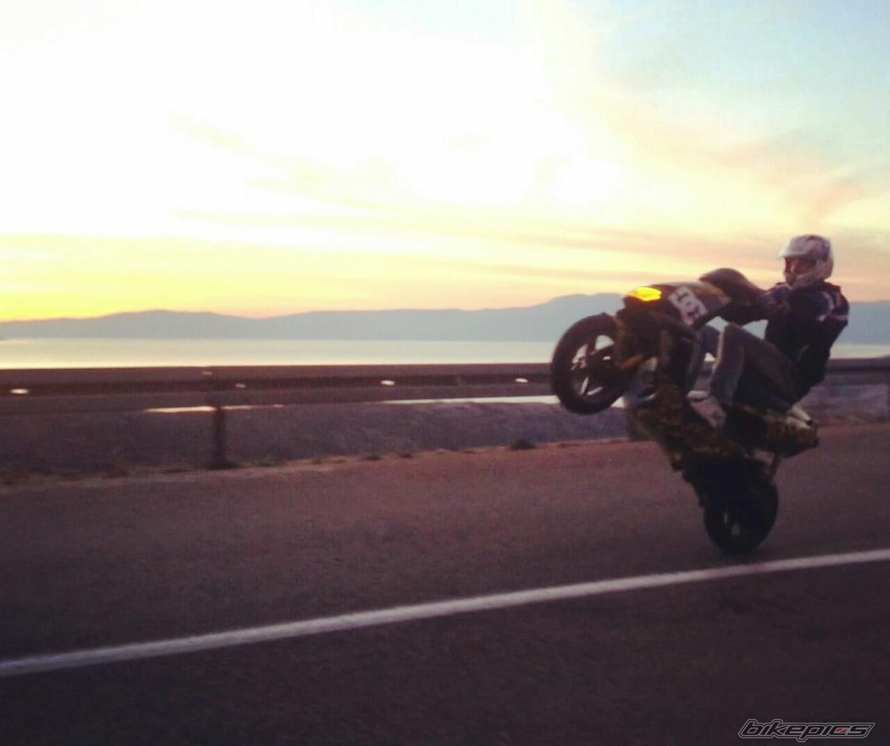 Photo 2769034