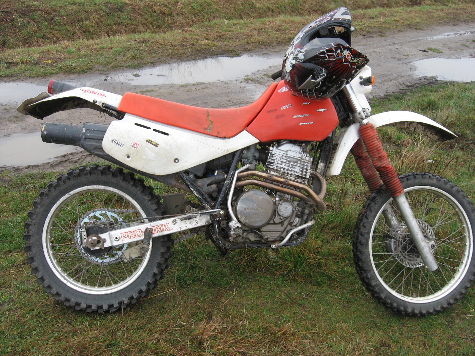 Photo 2769244