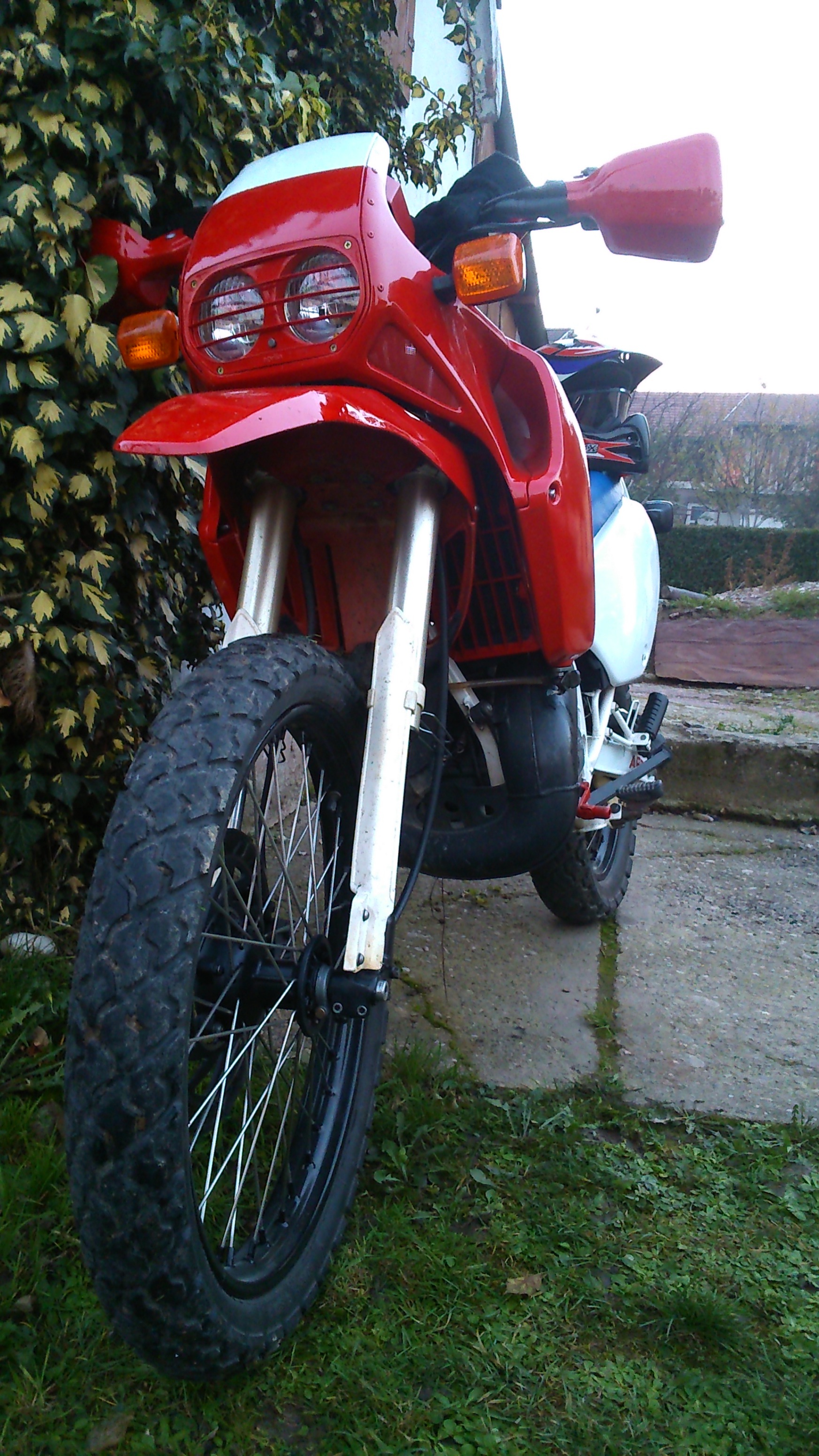 Photo 2769287