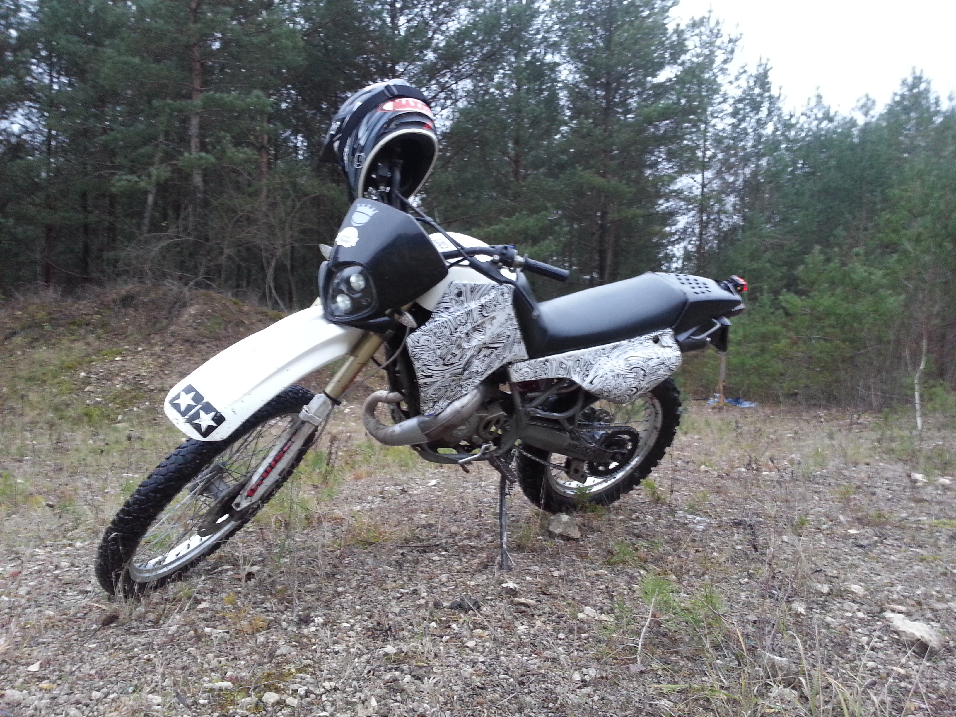Photo 2769305