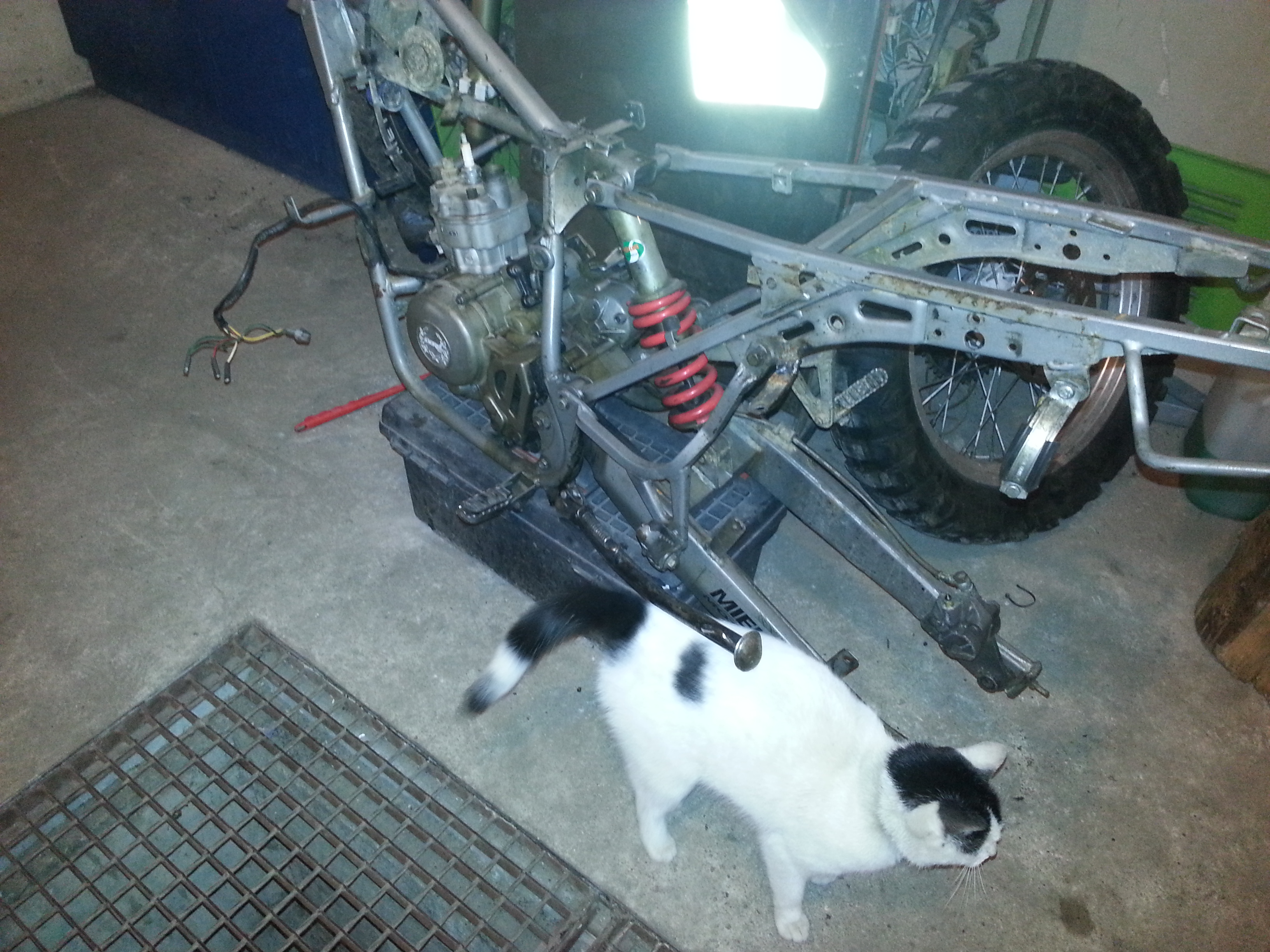 Photo 2769309
