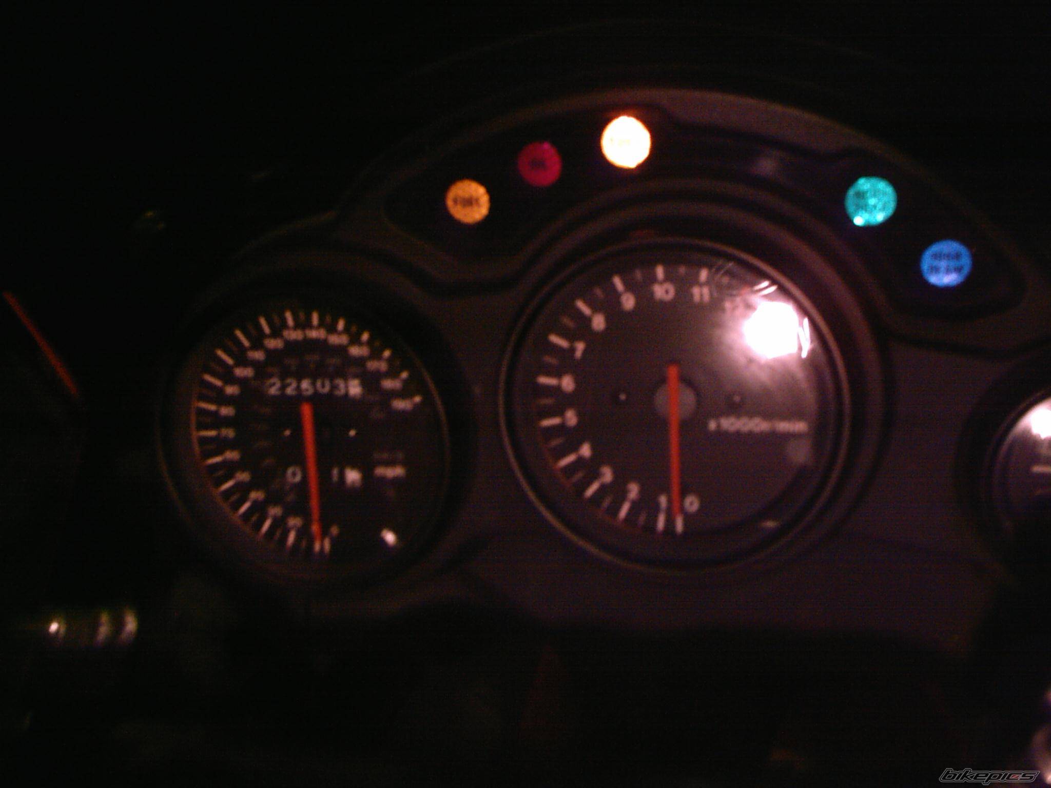 Photo 276940