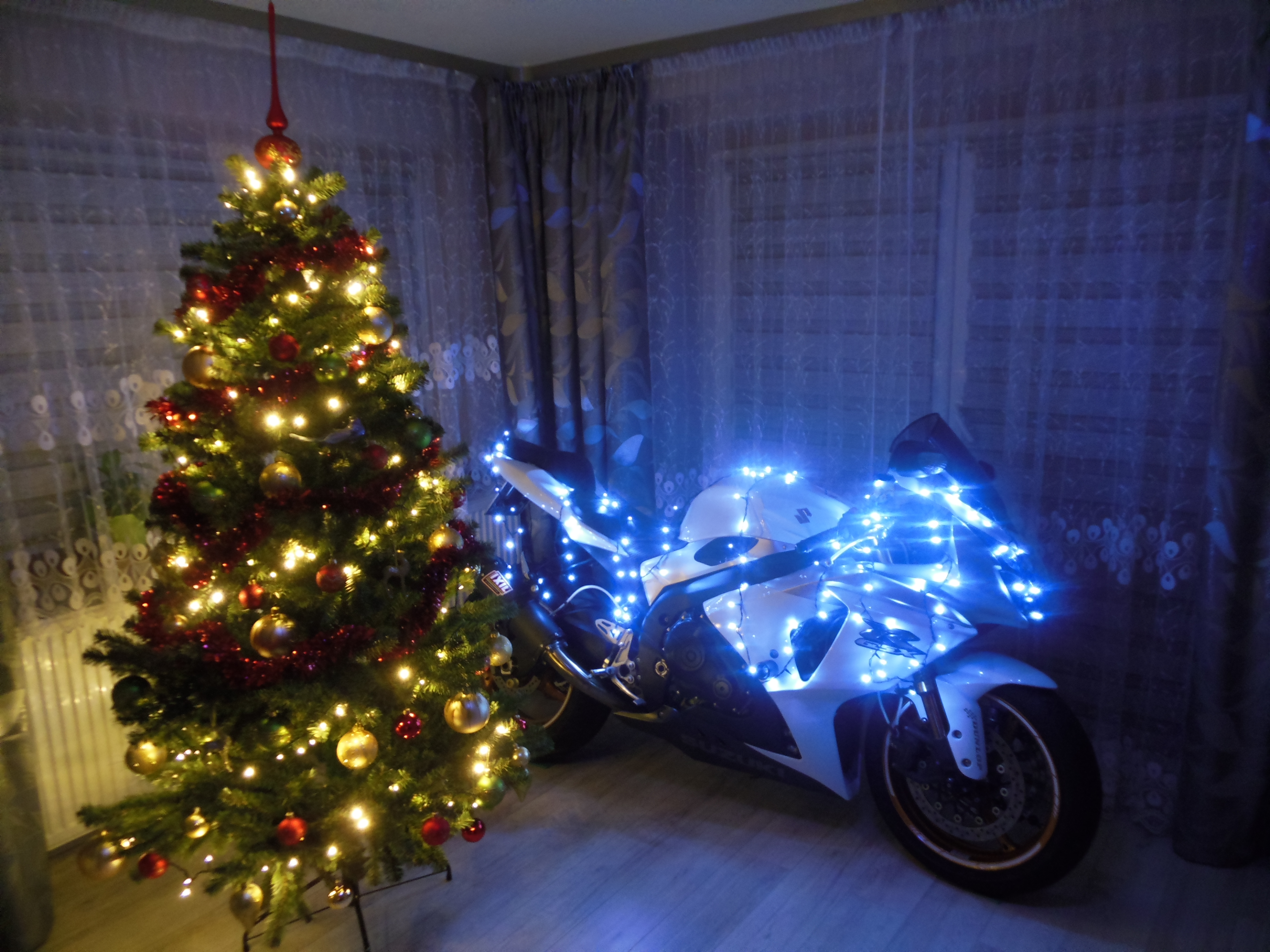 Photo 2769522