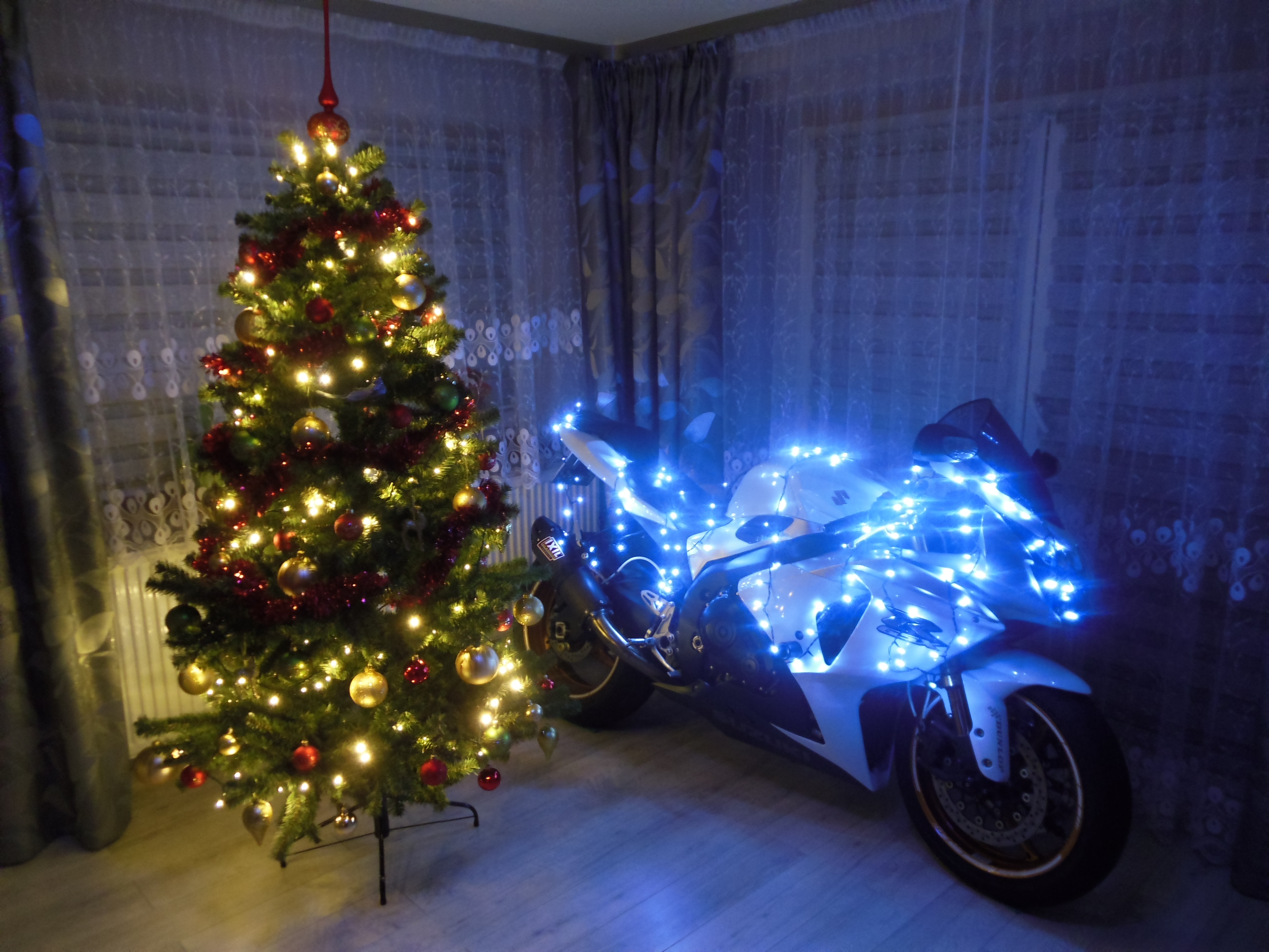 Photo 2769523