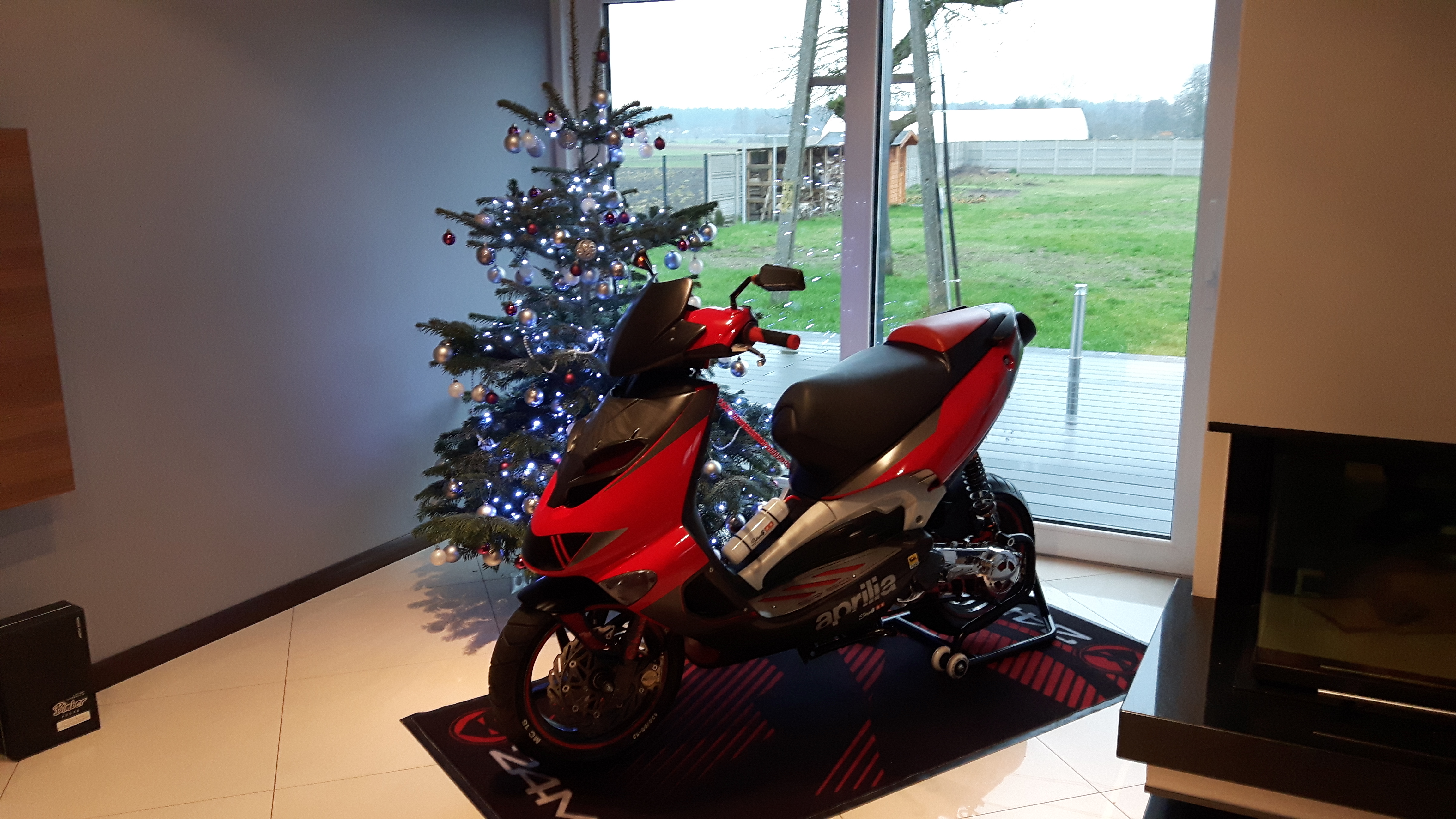 Photo 2769547