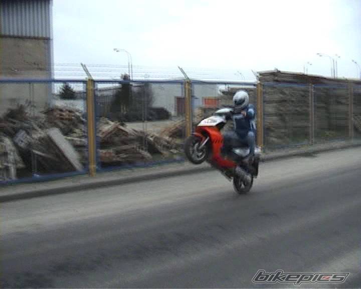 Photo 276961