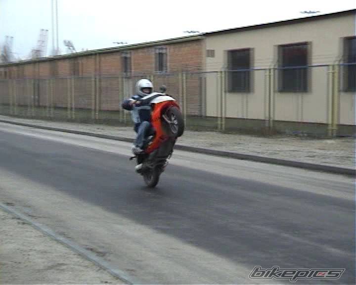 Photo 276963