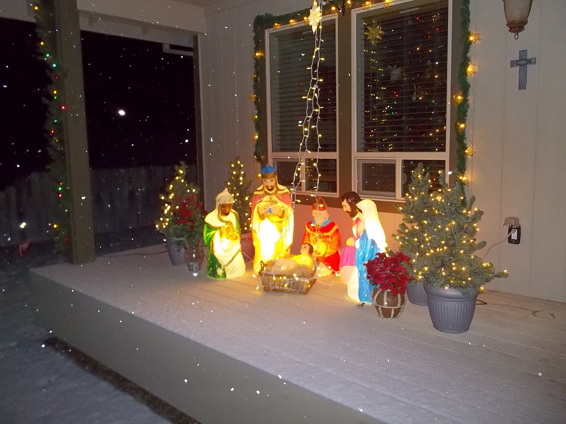 Photo 2769644