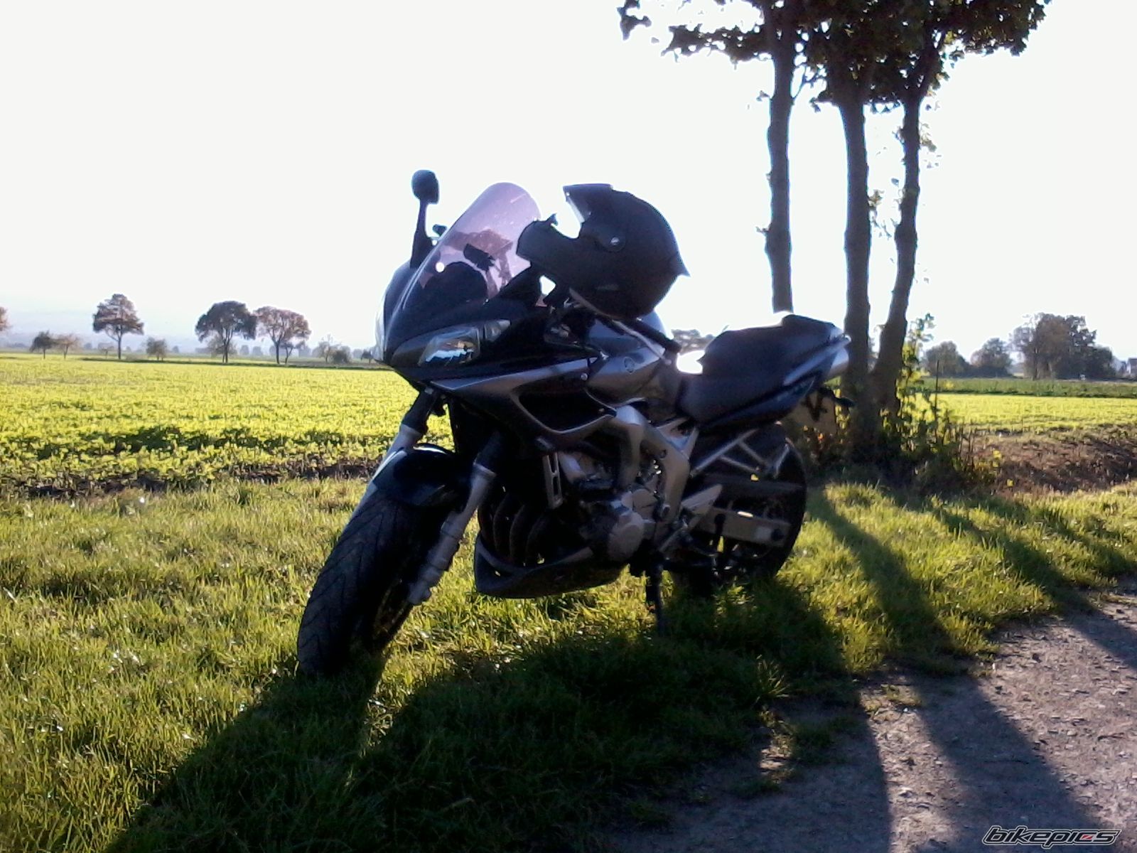 Photo 2769645