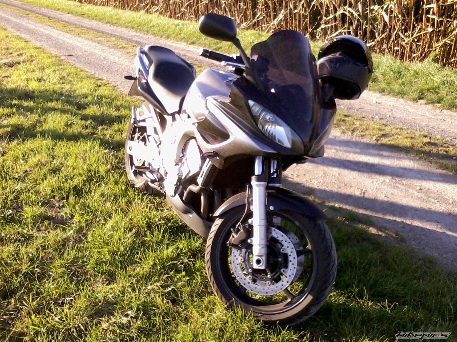 Photo 2769647