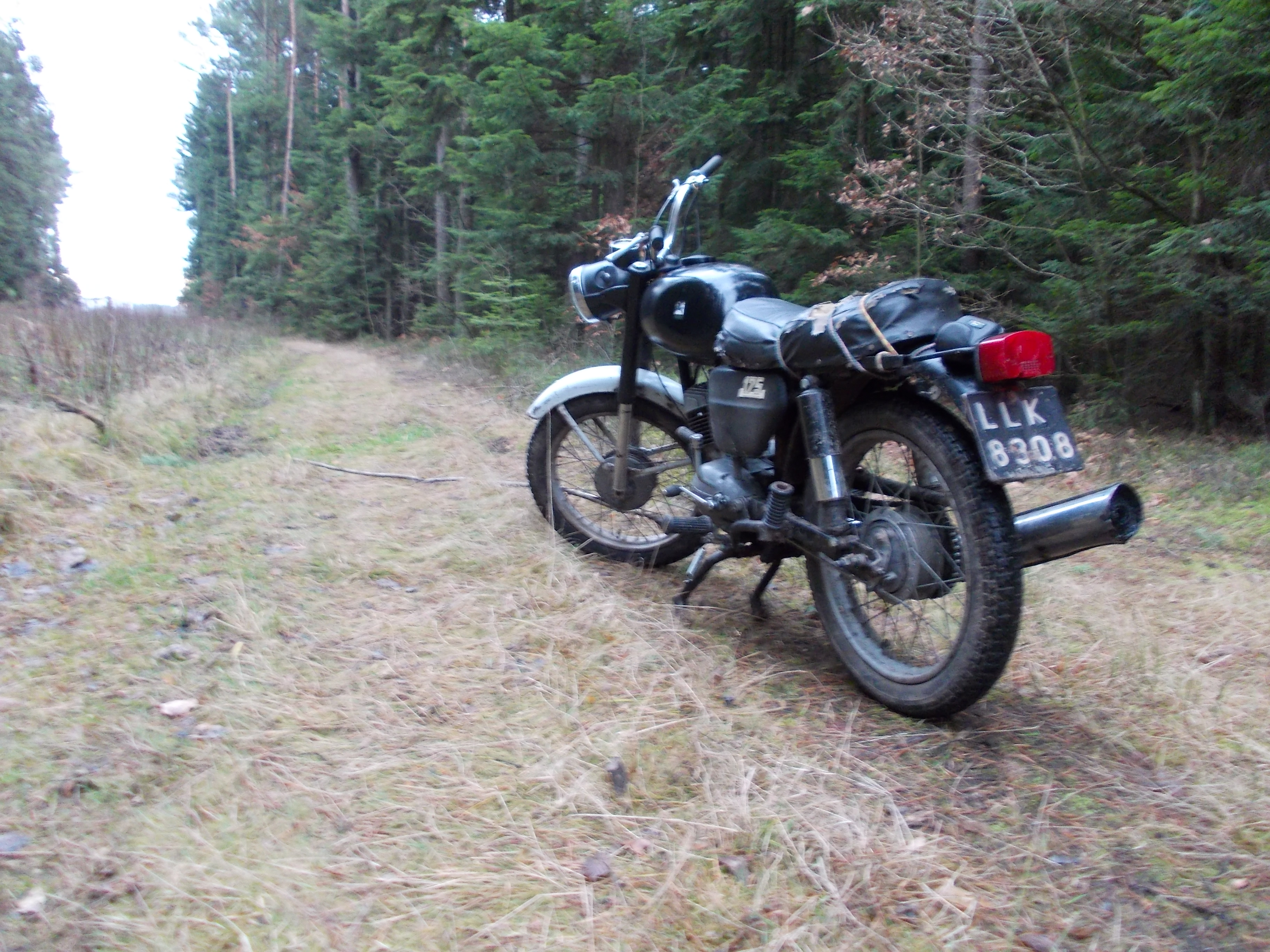 Photo 2769794
