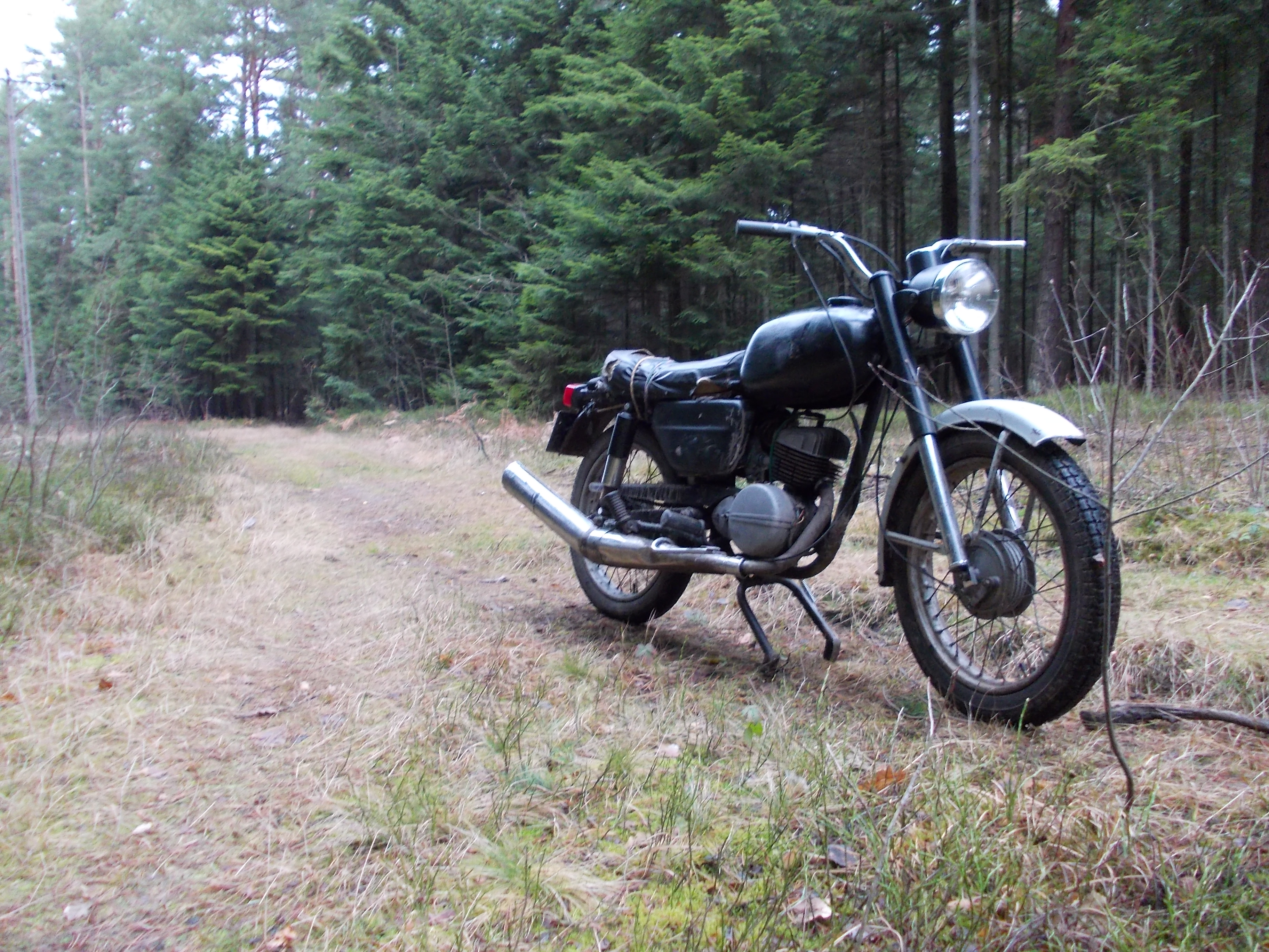 Photo 2769797