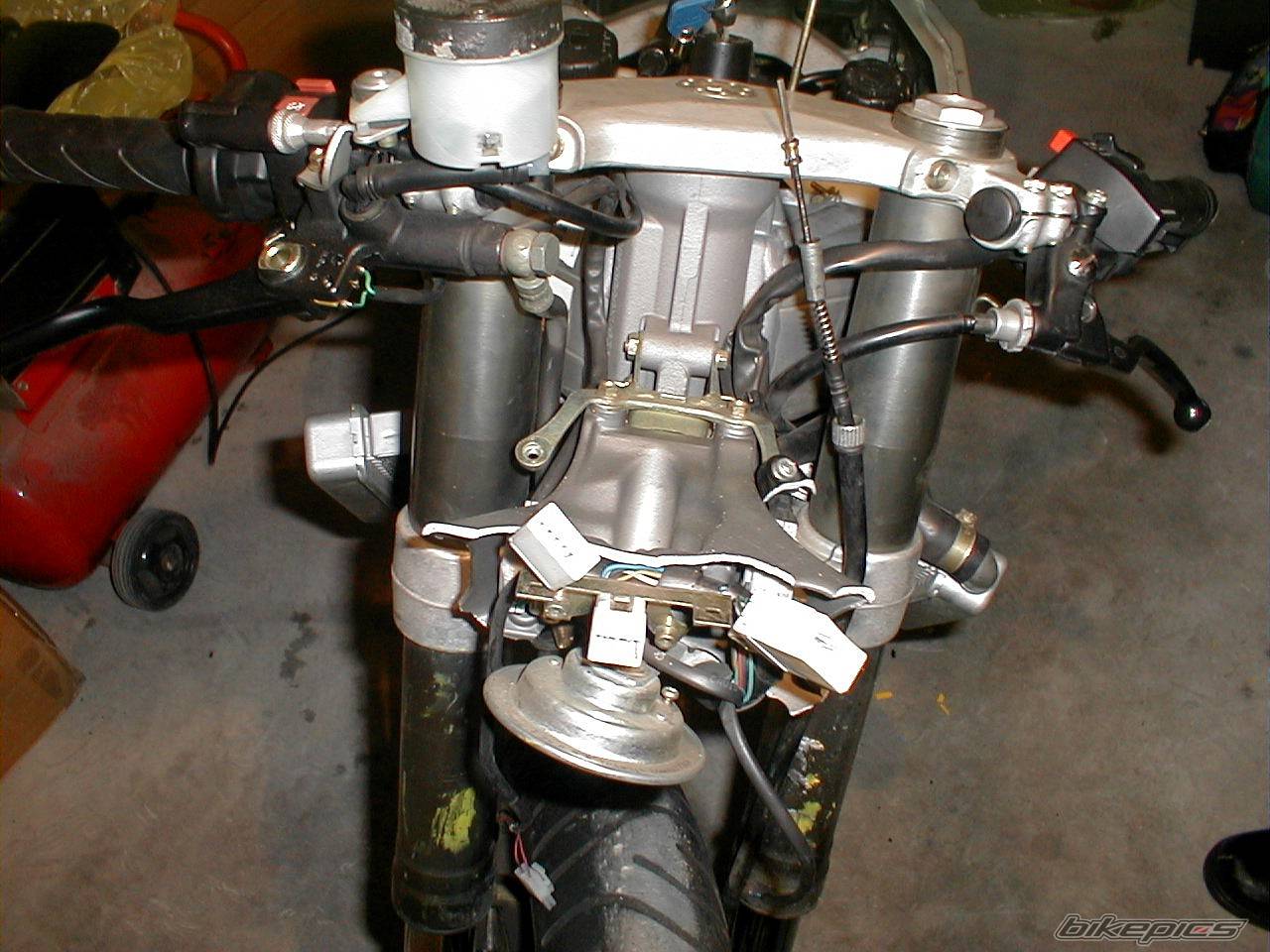 Photo 276981