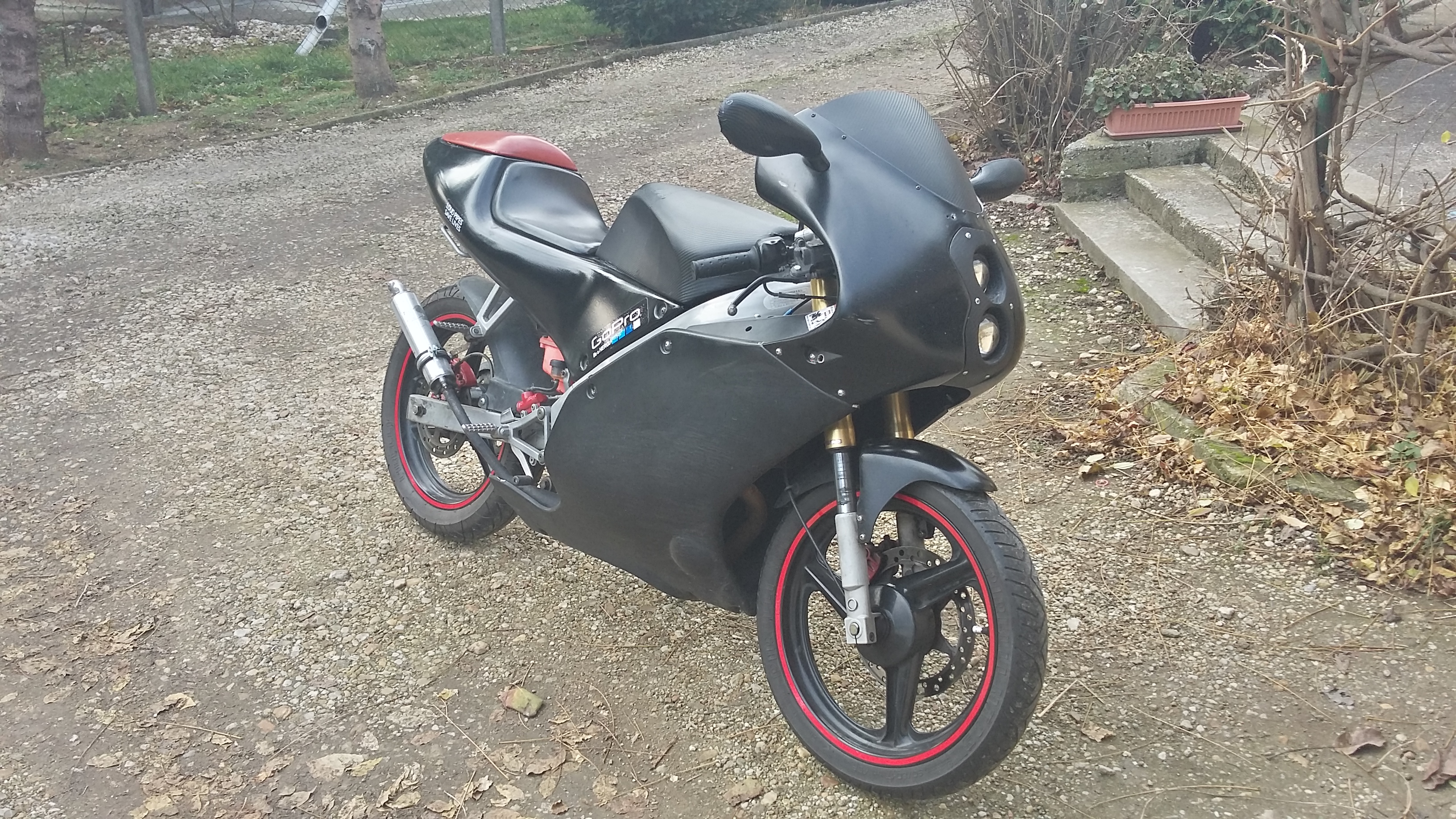 Photo 2769861