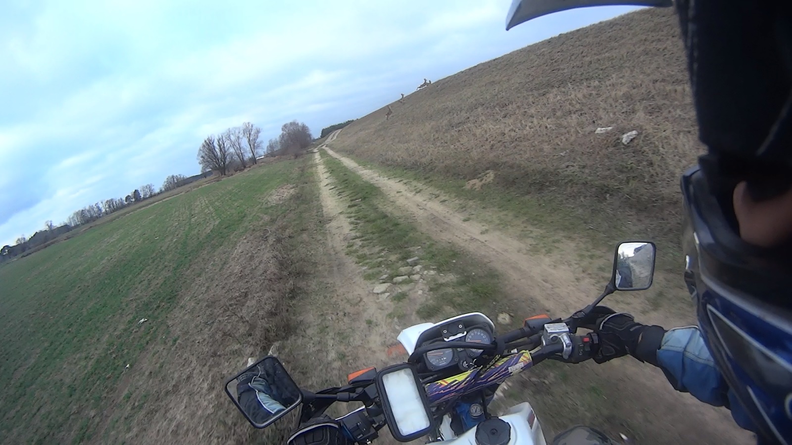 Photo 2769915
