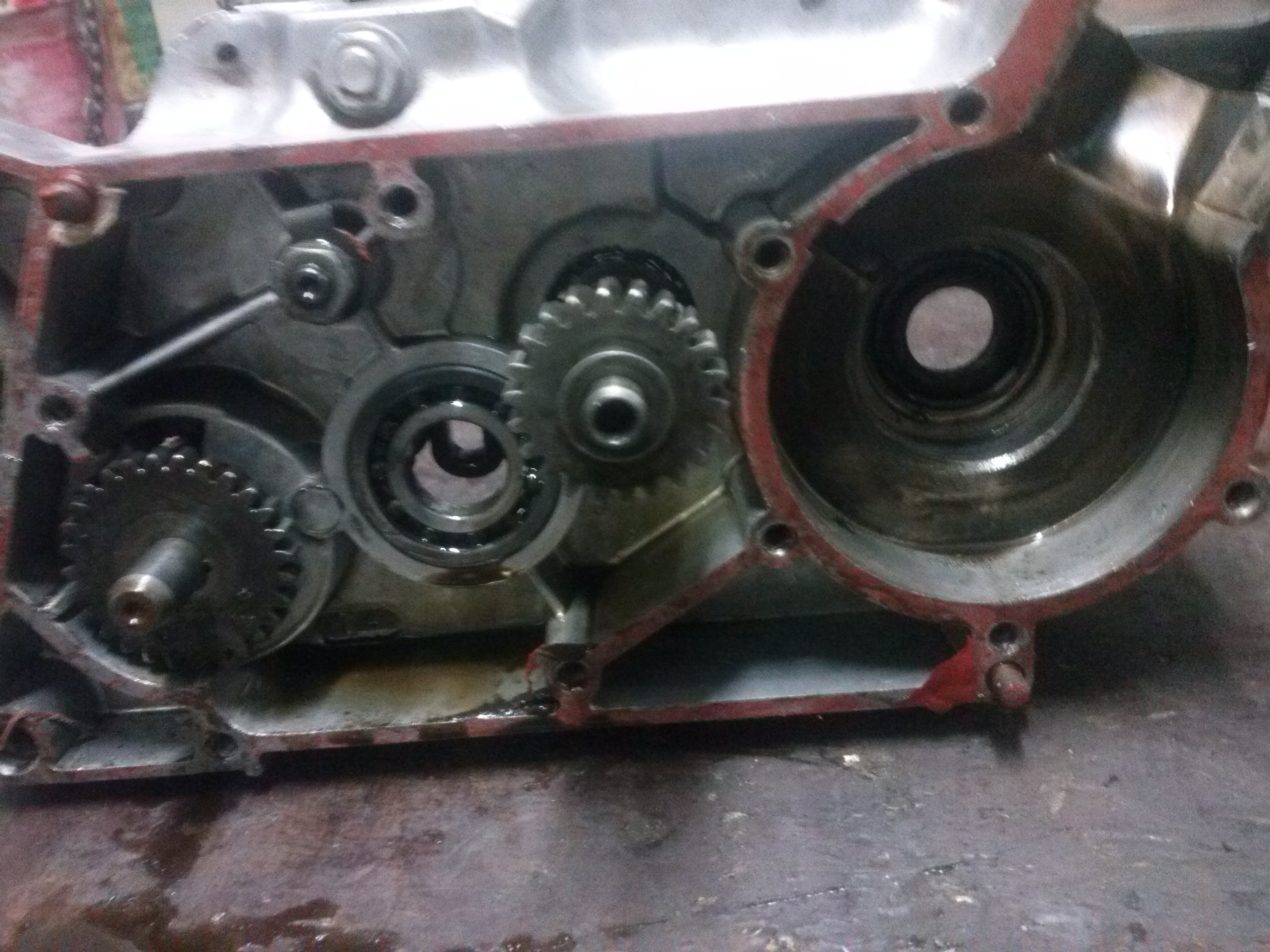 Photo 2769922