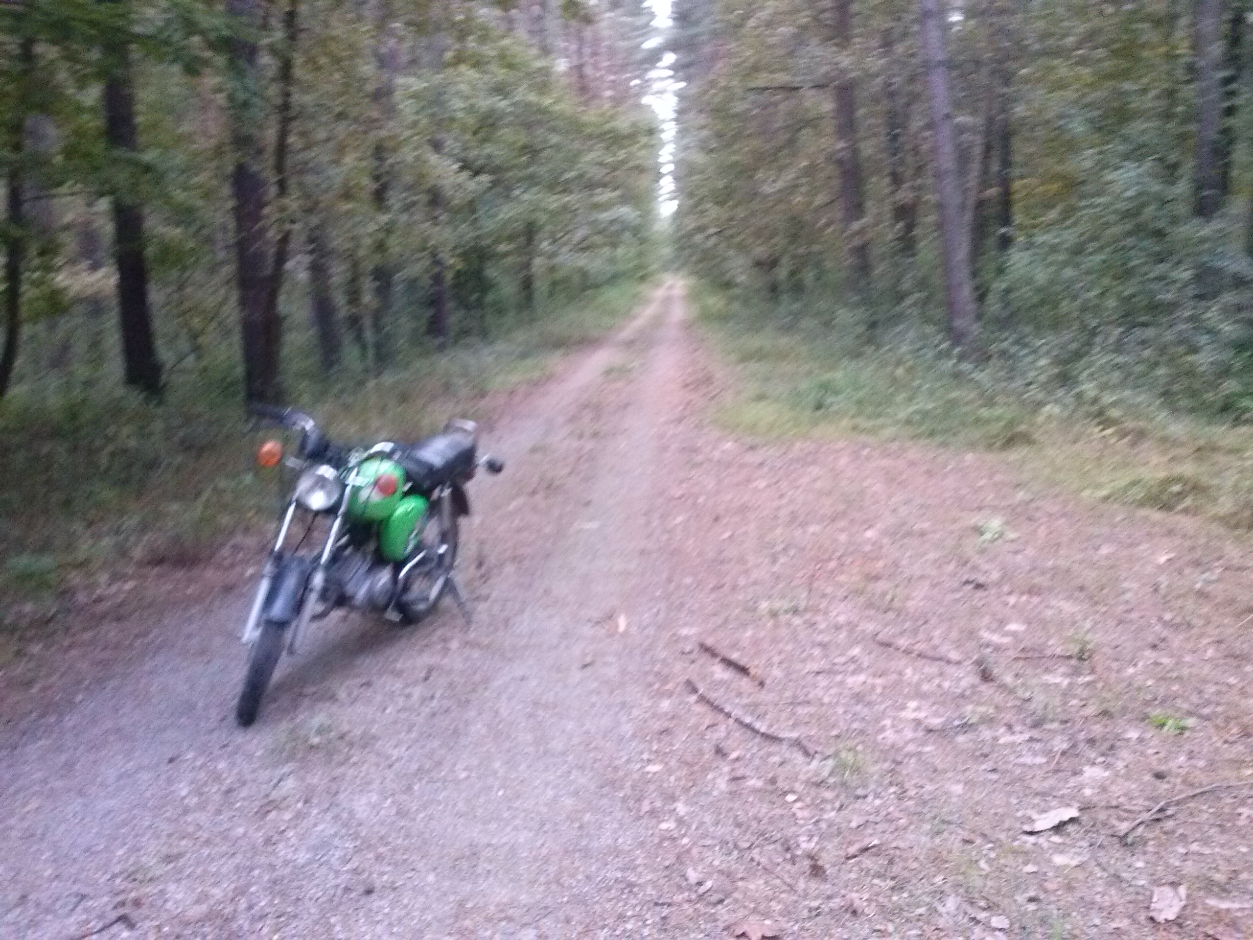 Photo 2769927