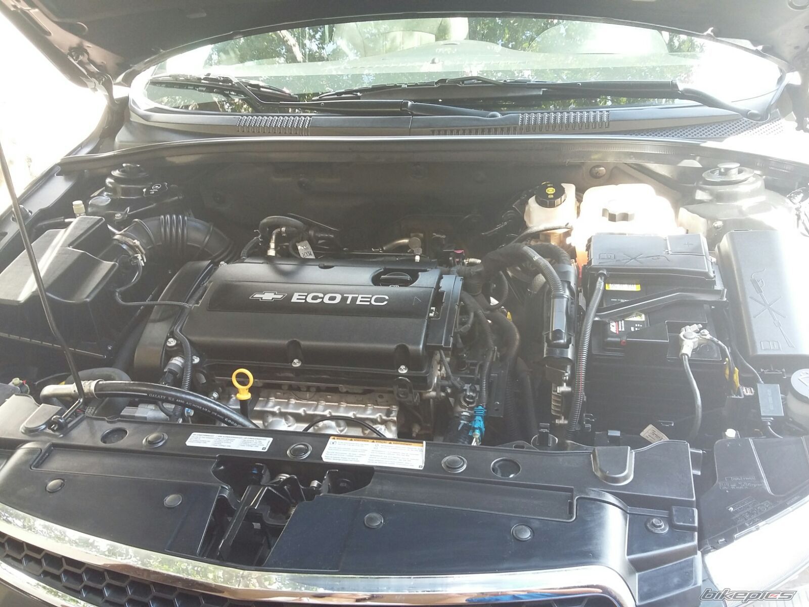 Photo 2769949