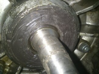 Photo 2770094