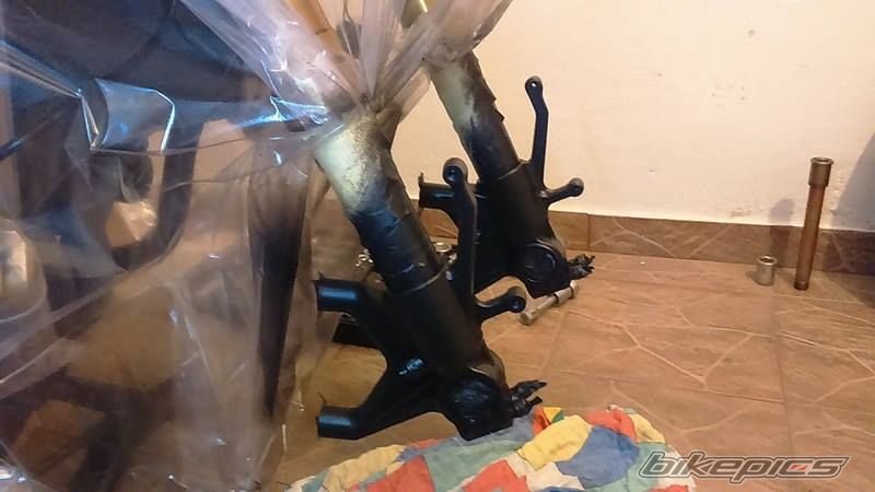 Photo 2770150