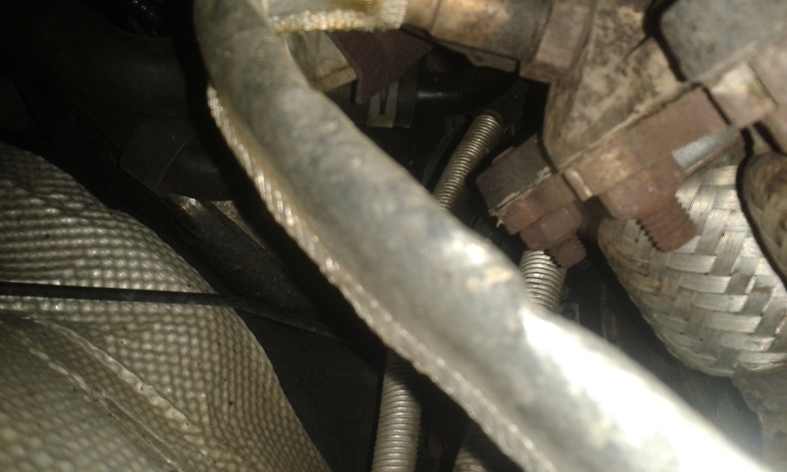 Photo 2770269