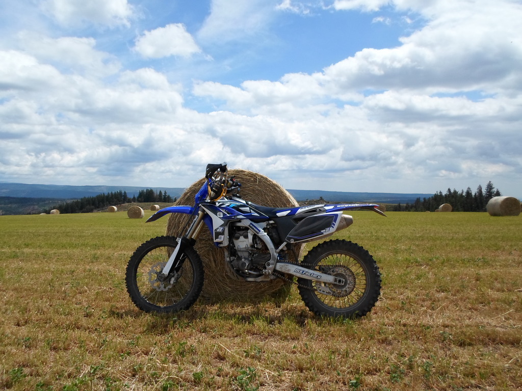 Photo 2770324