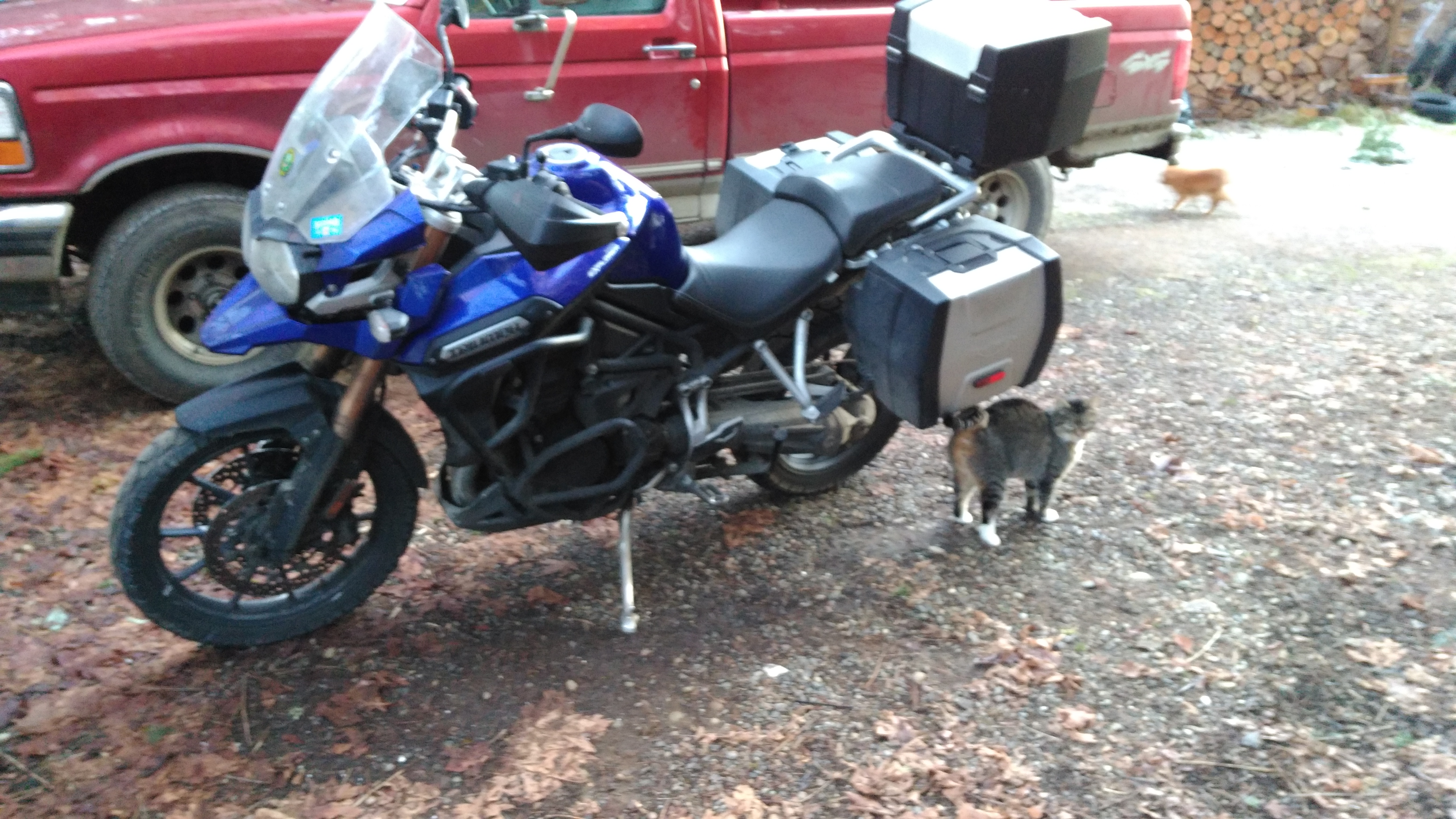 Photo 2770559