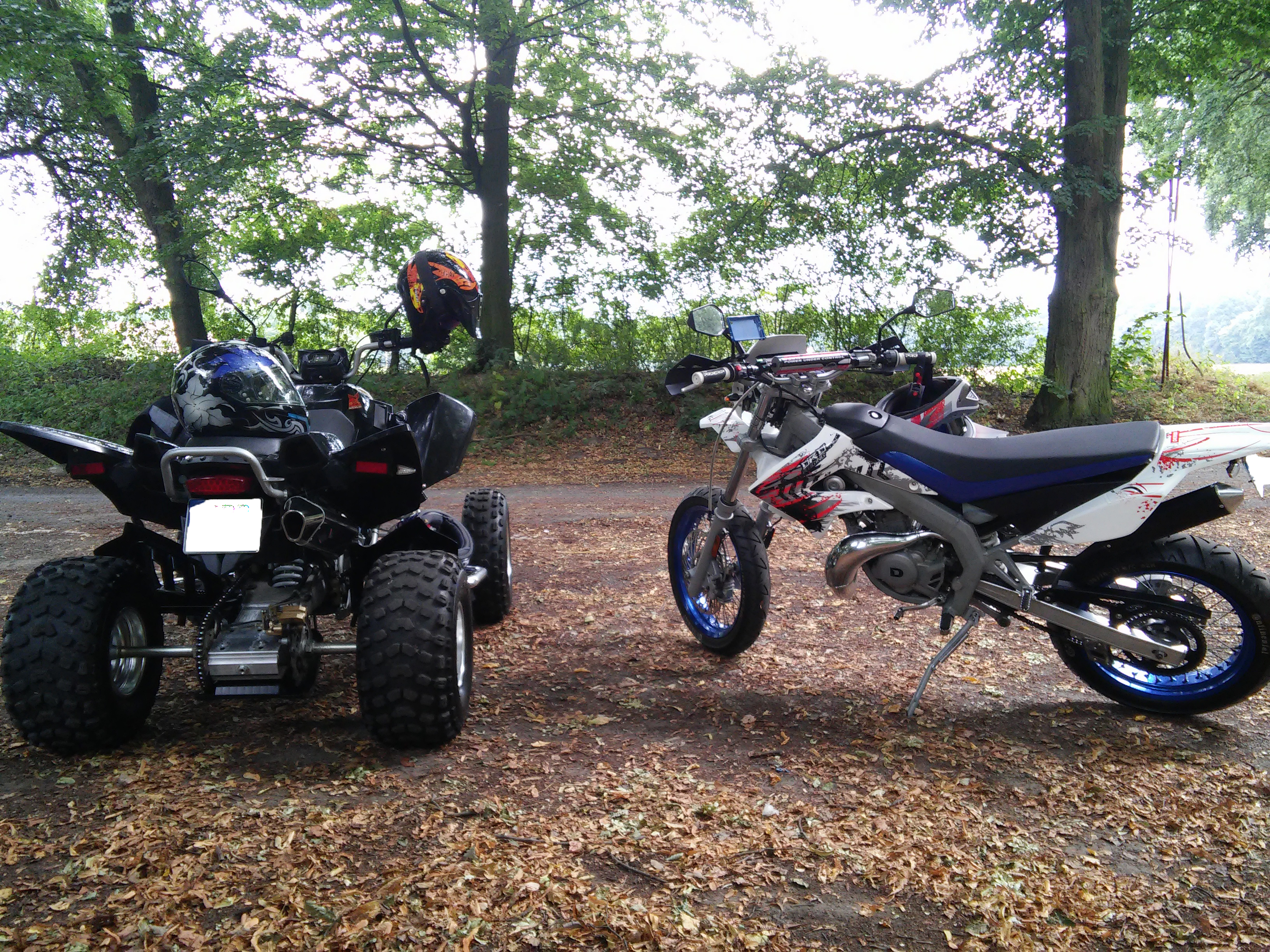 Photo 2770755