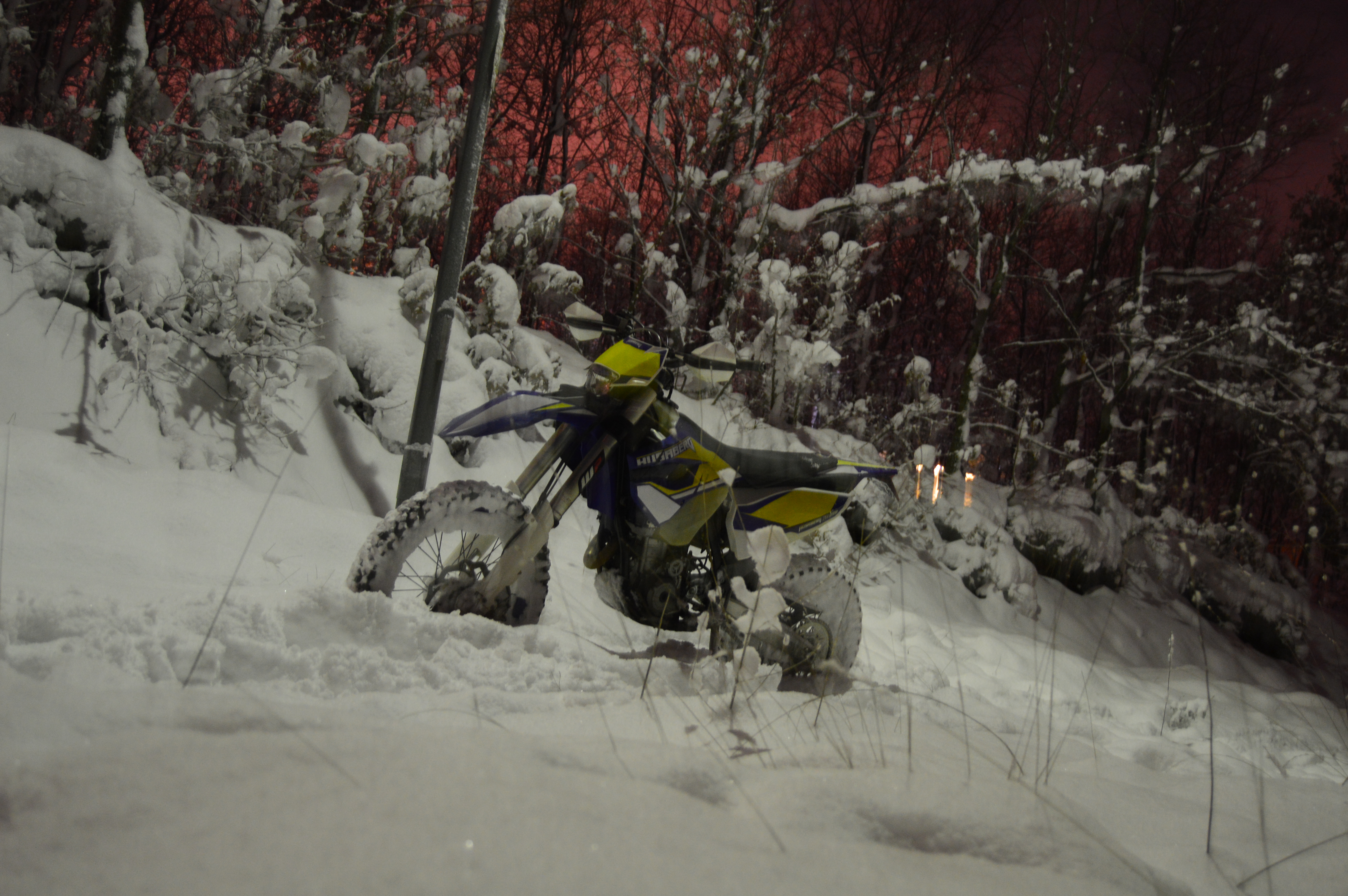Photo 2770841