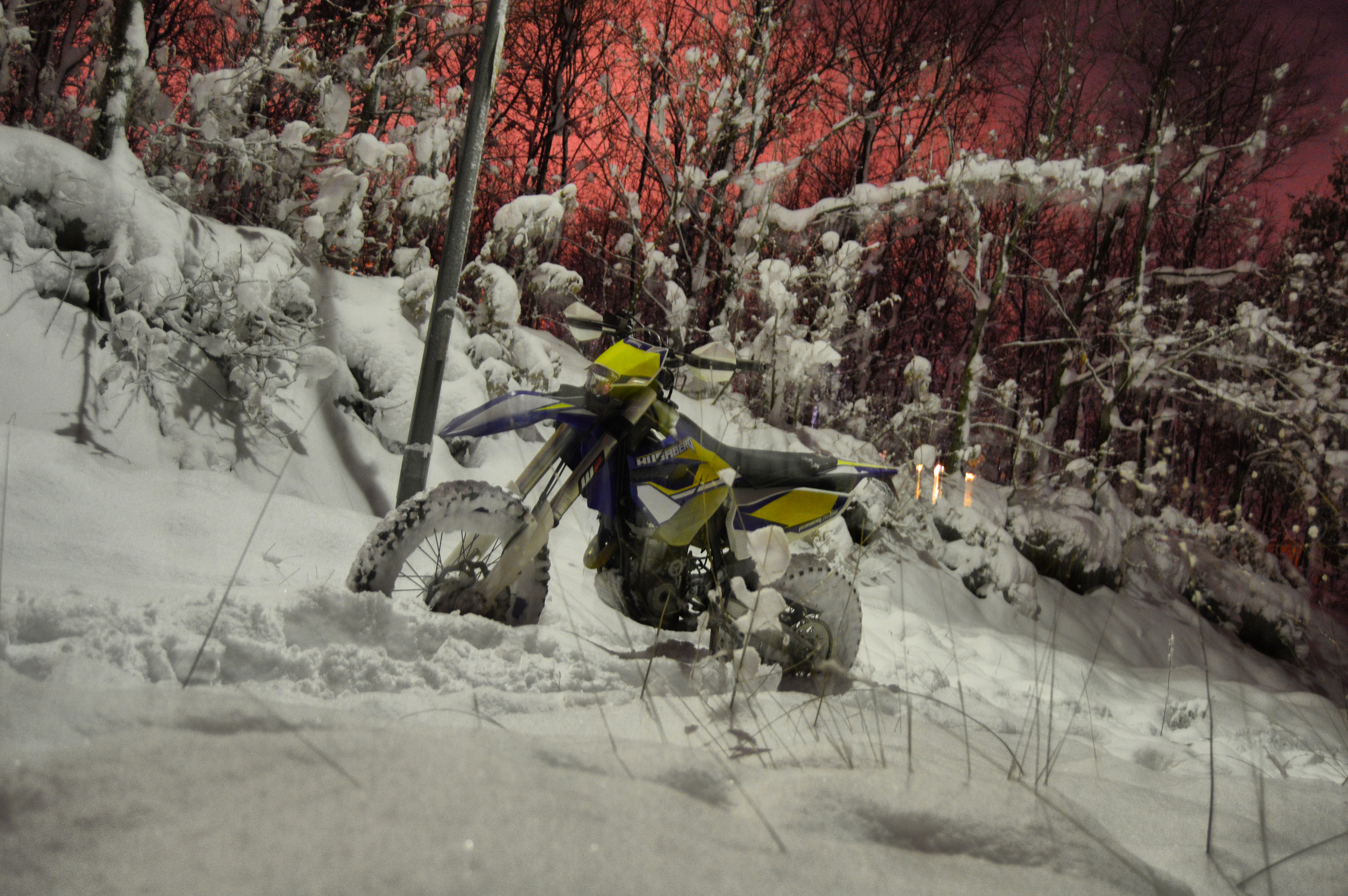 Photo 2770842