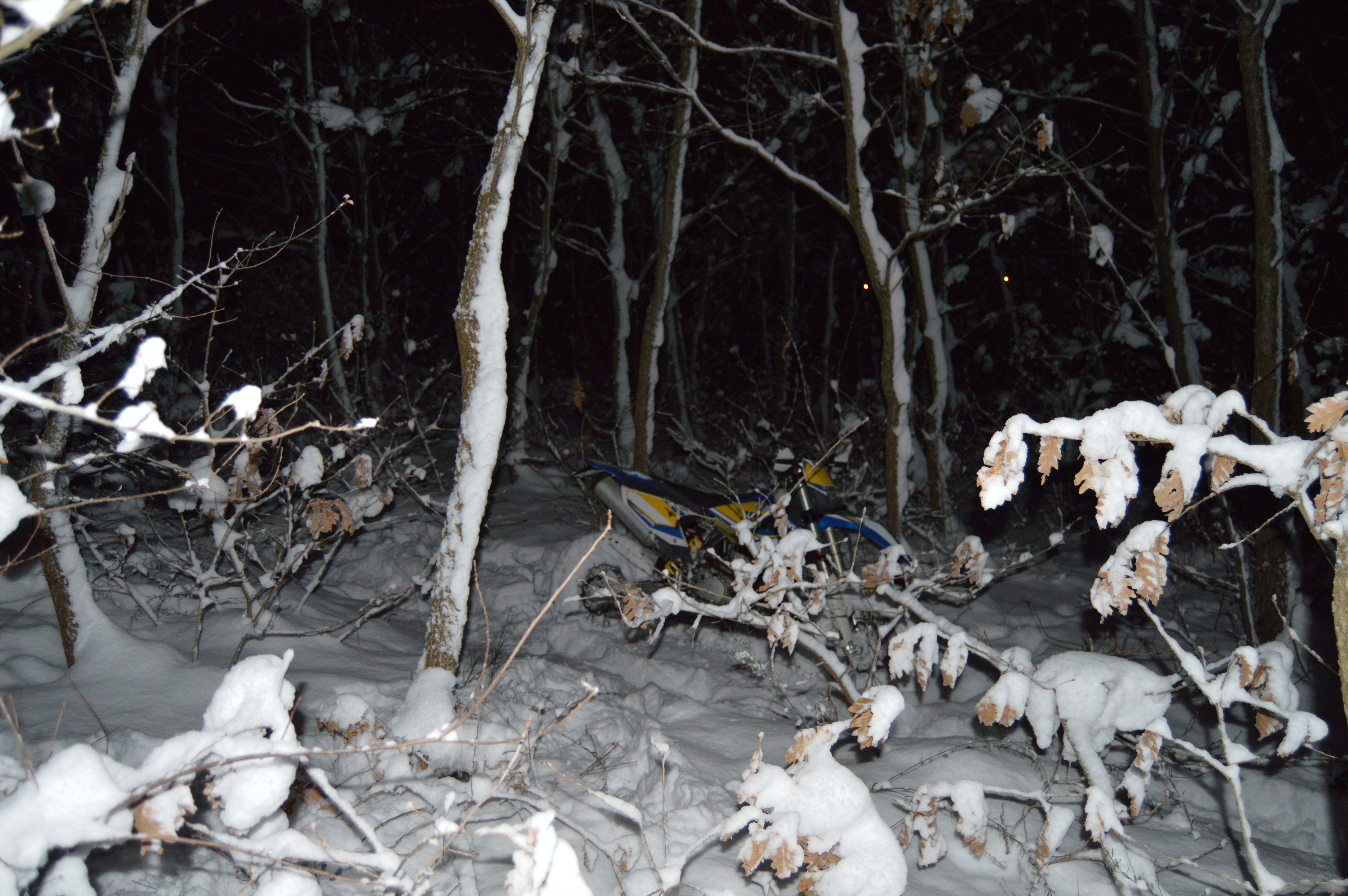 Photo 2770872
