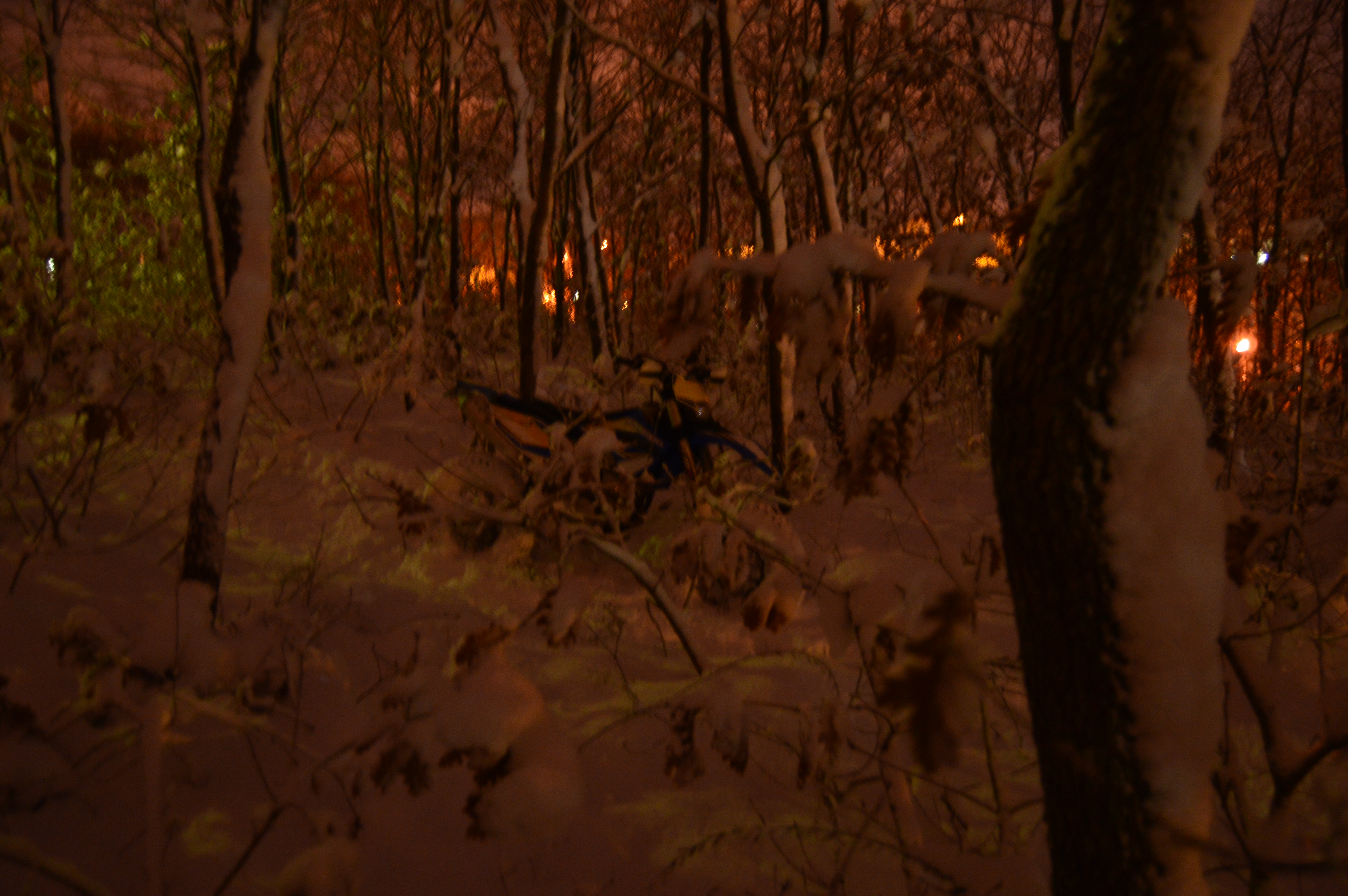 Photo 2770875