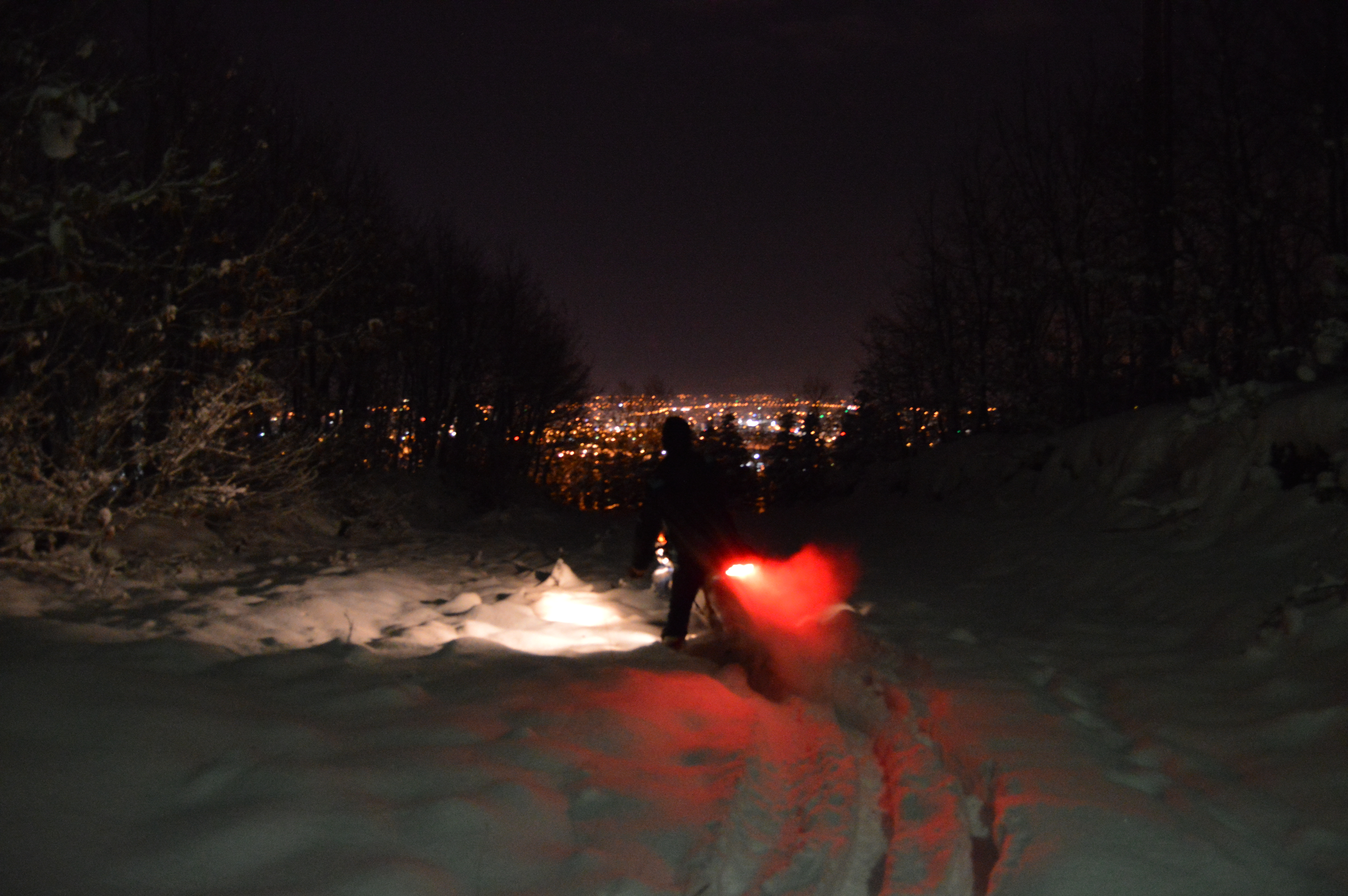 Photo 2770898