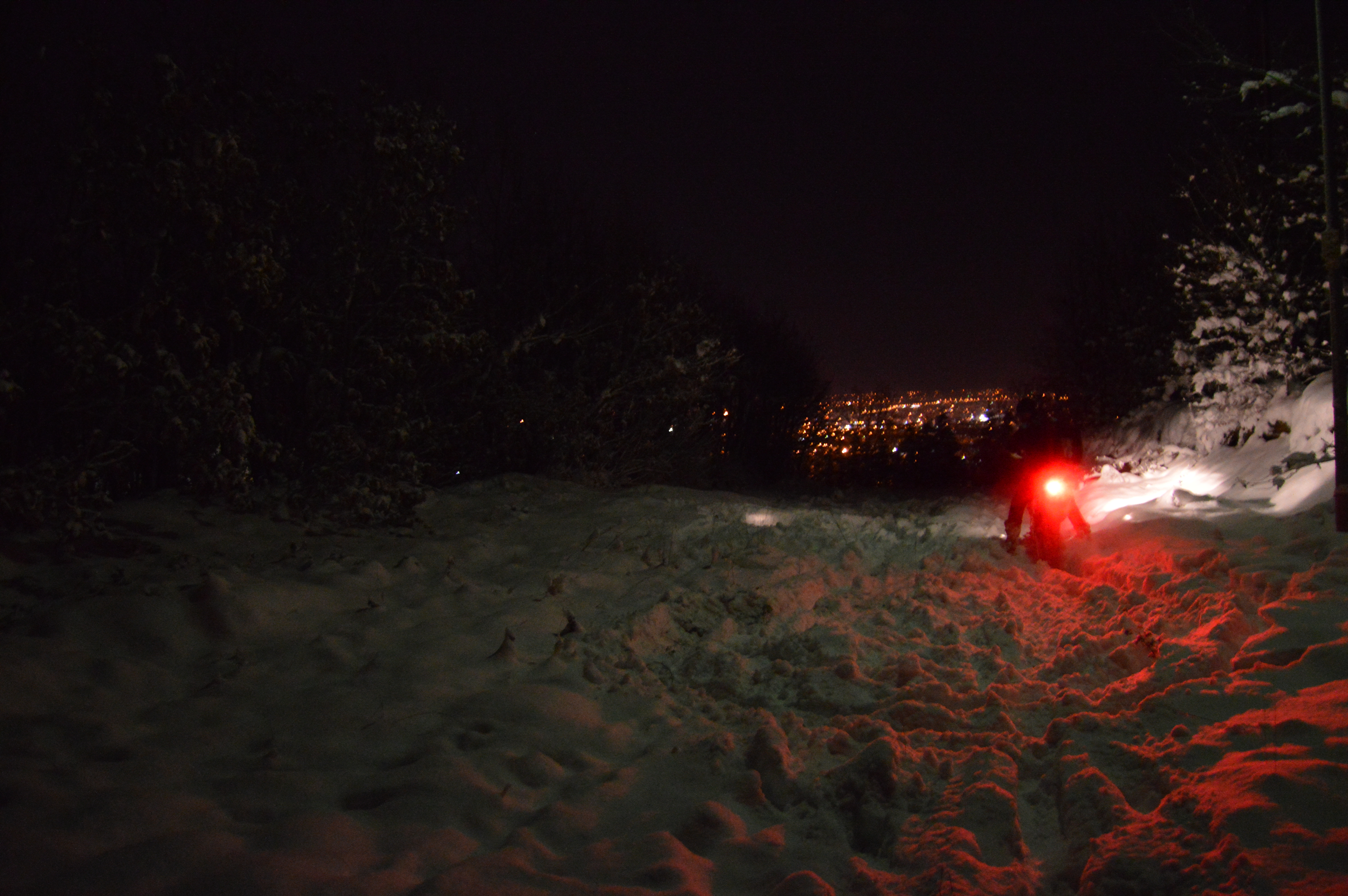Photo 2770899