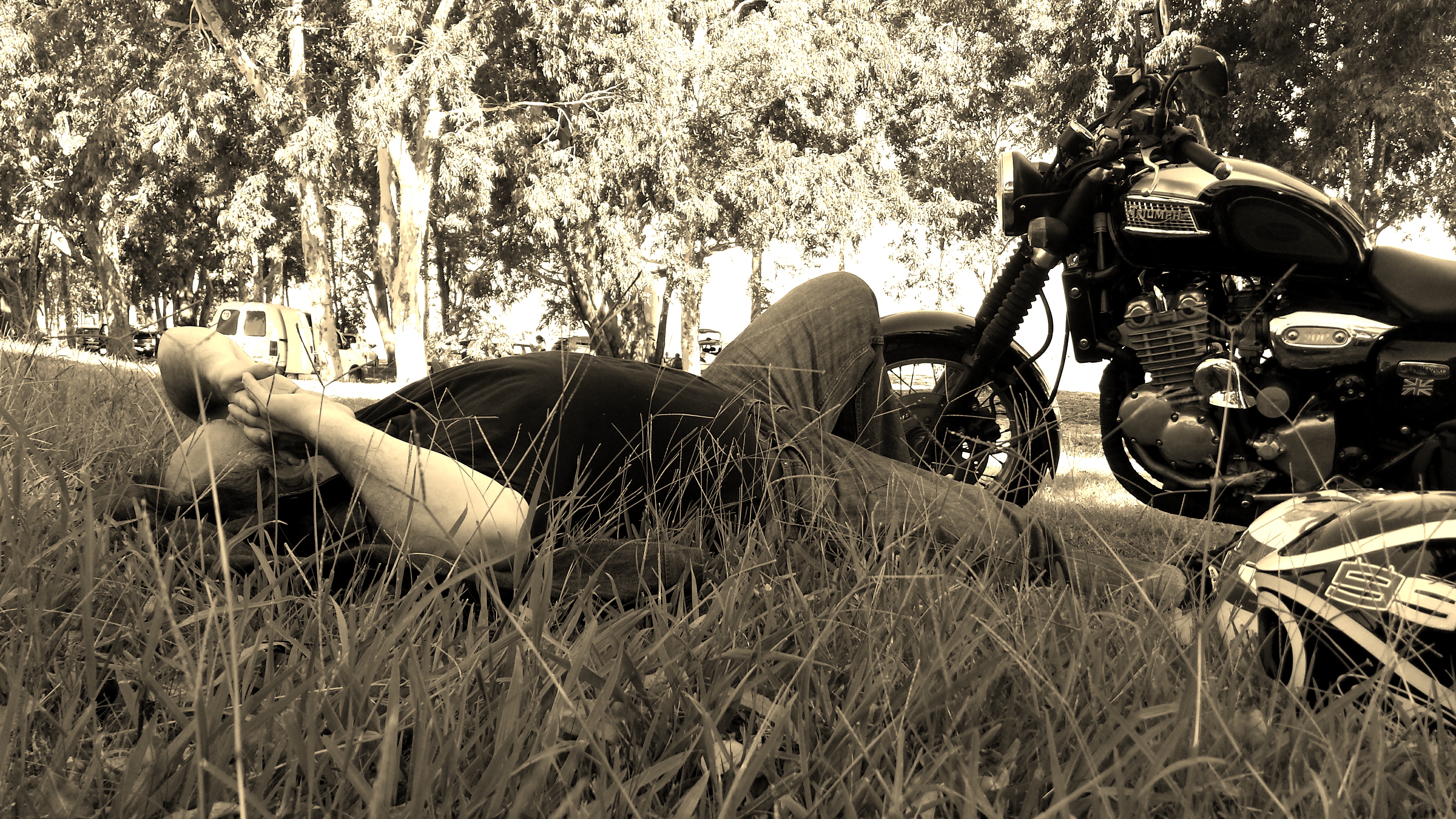 Photo 2771021