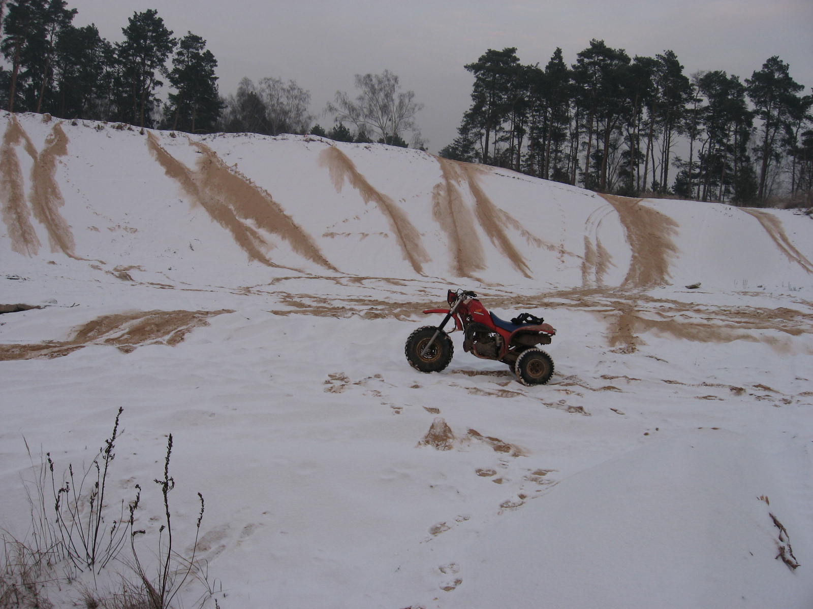 Photo 2771217