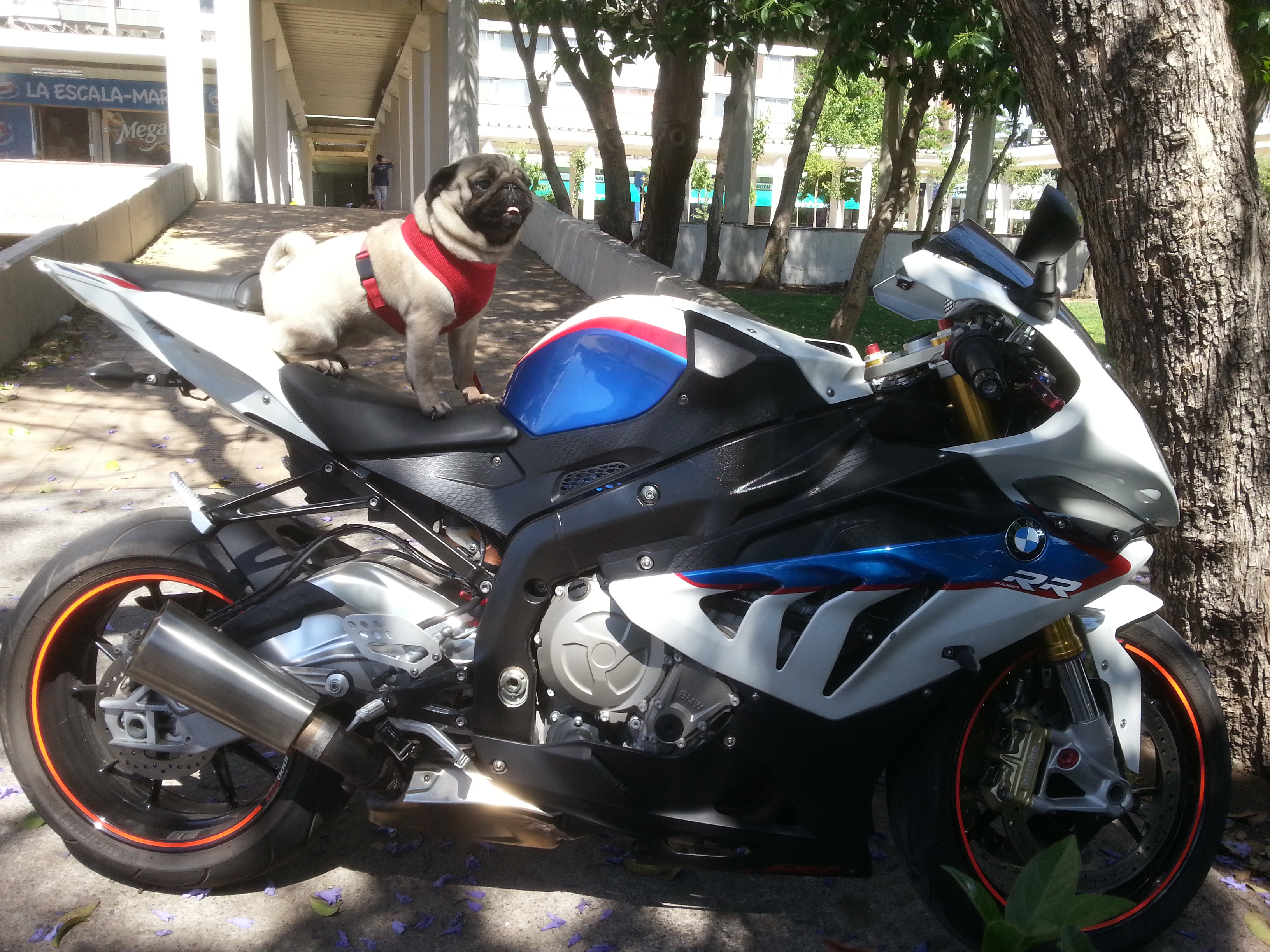 Photo 2771294
