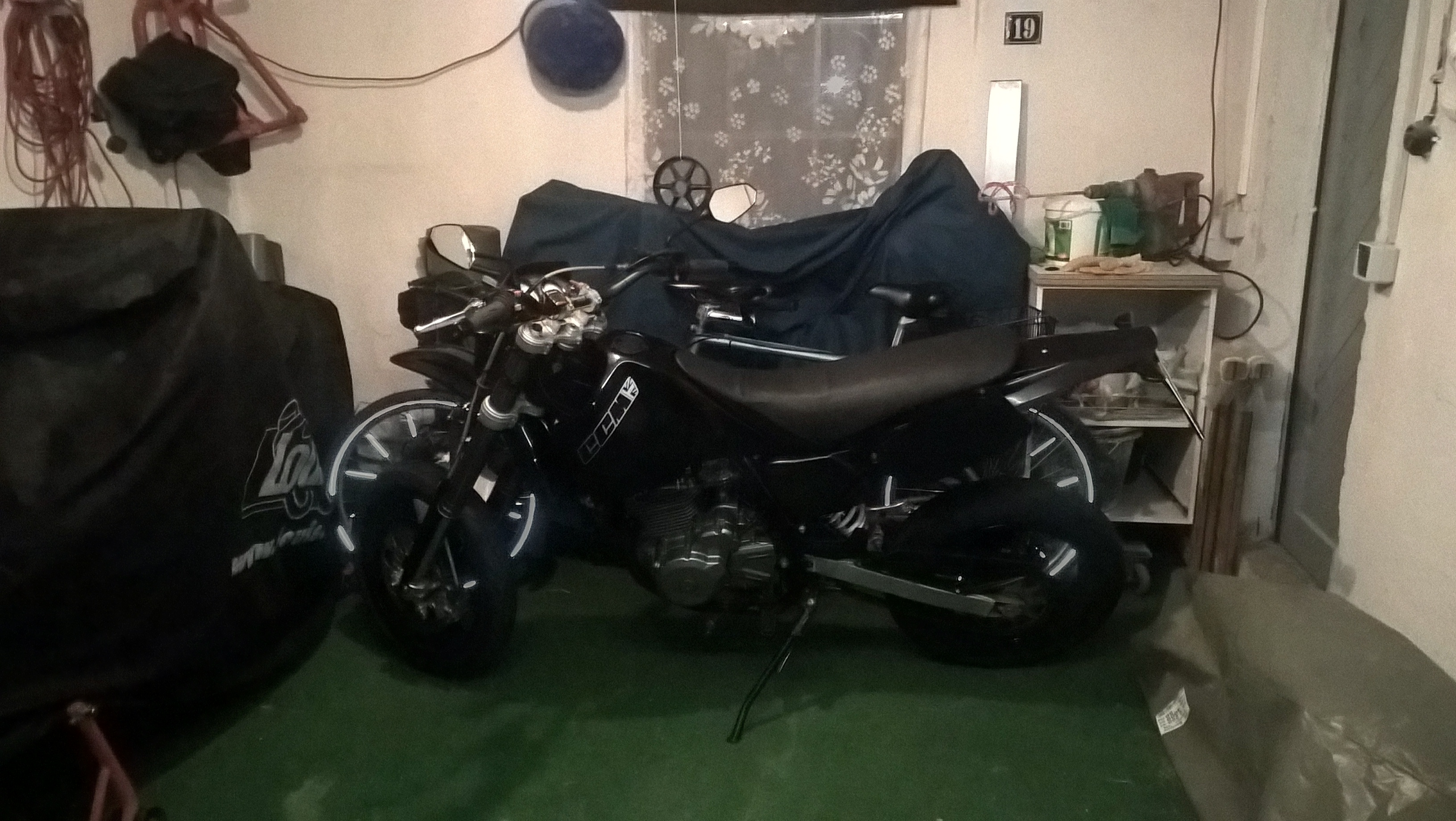 Photo 2771449