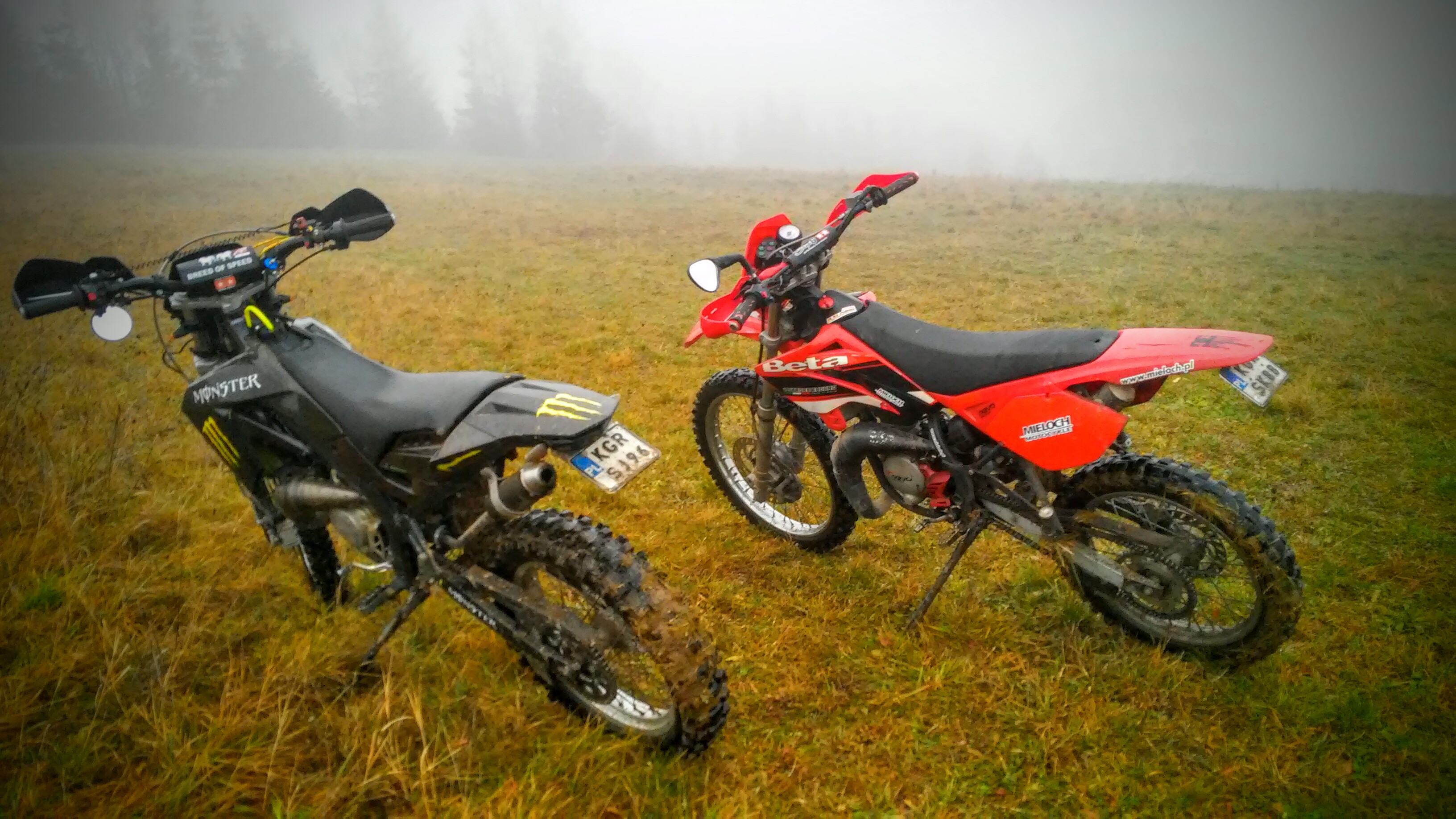 Photo 2771477