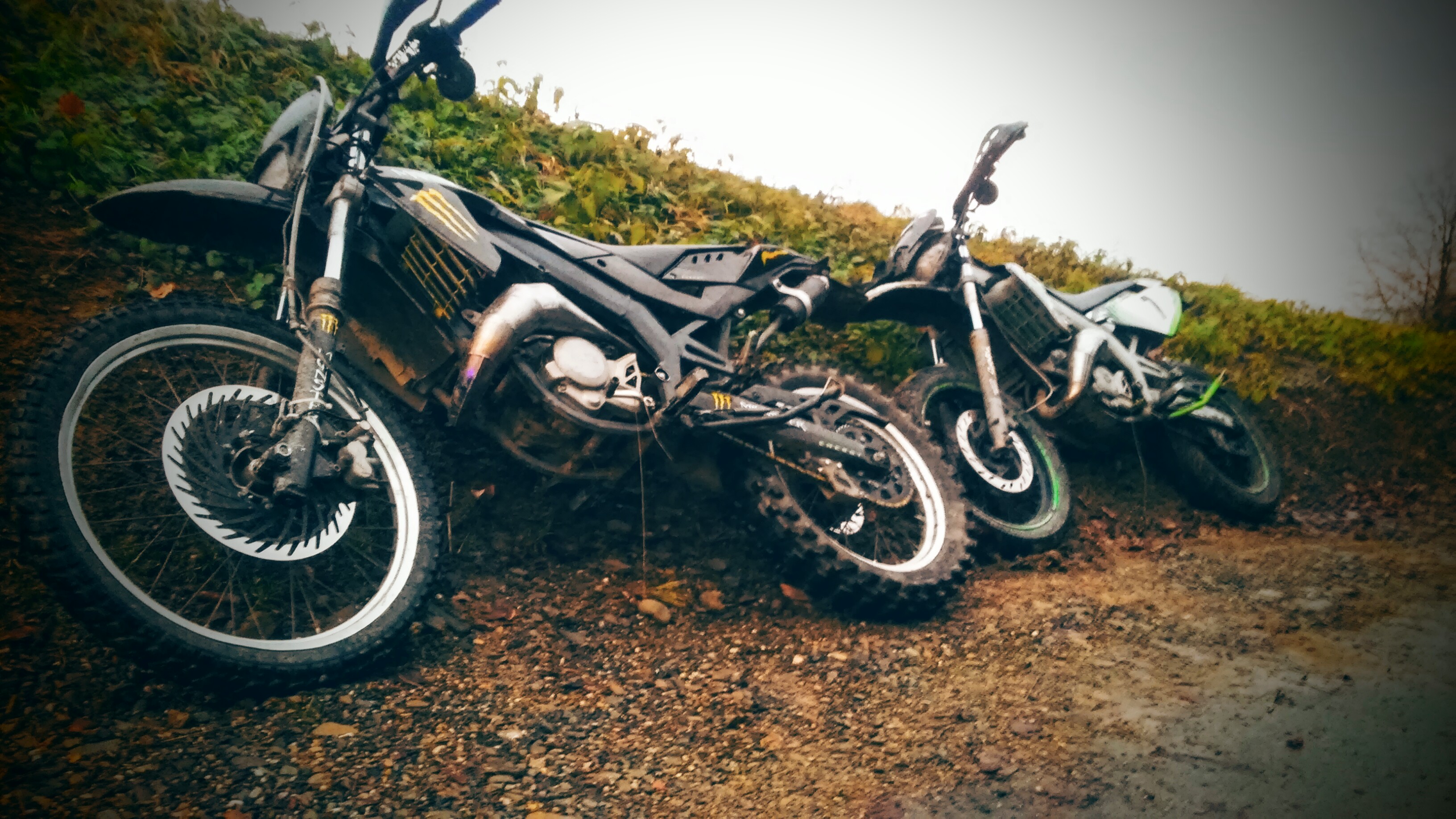Photo 2771478