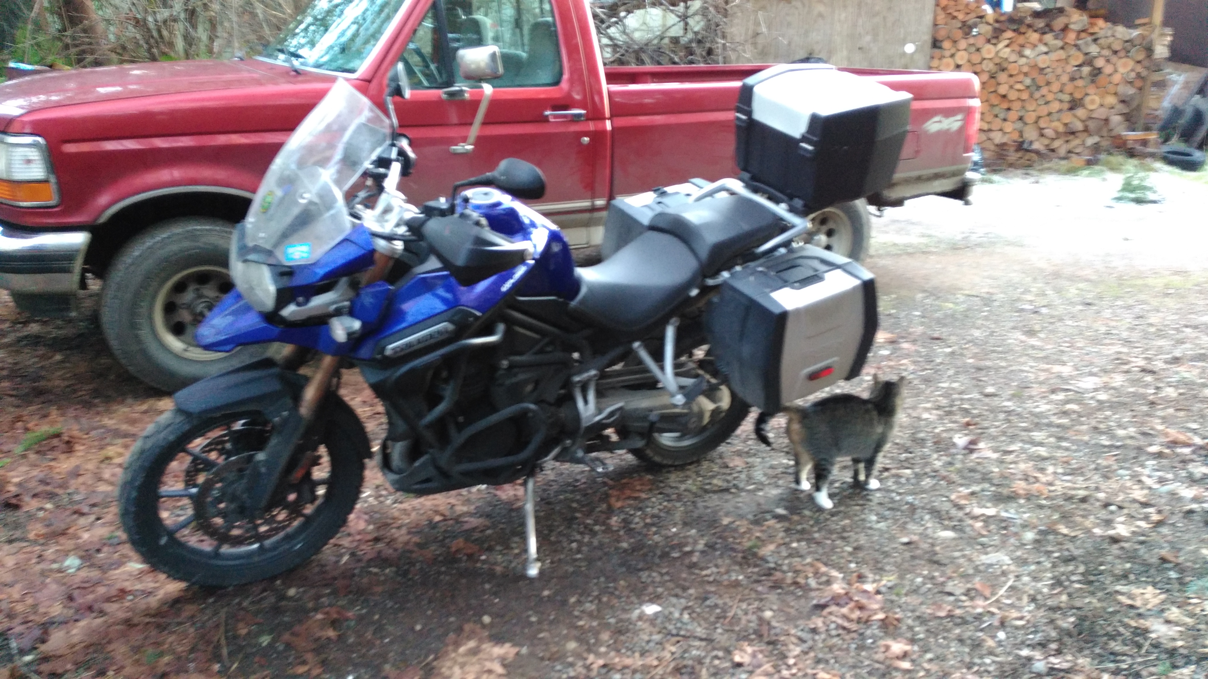 Photo 2771489