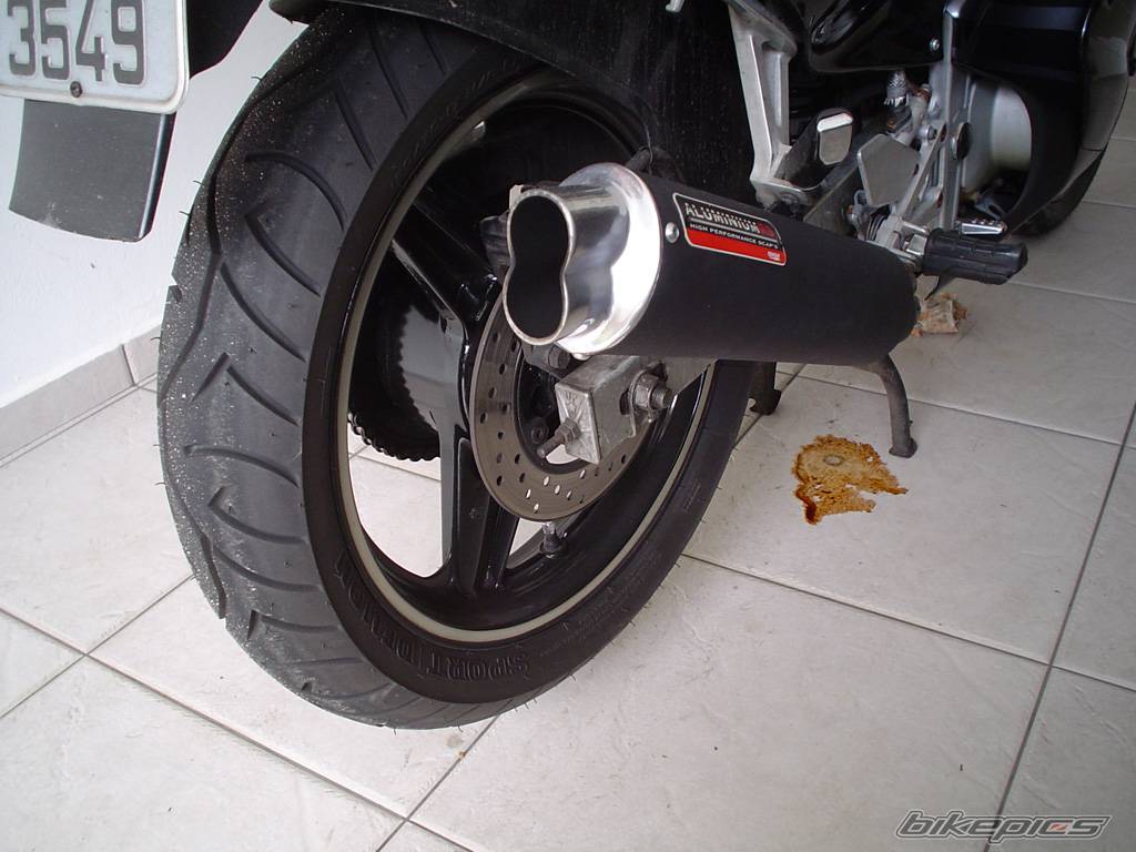 Photo 277162