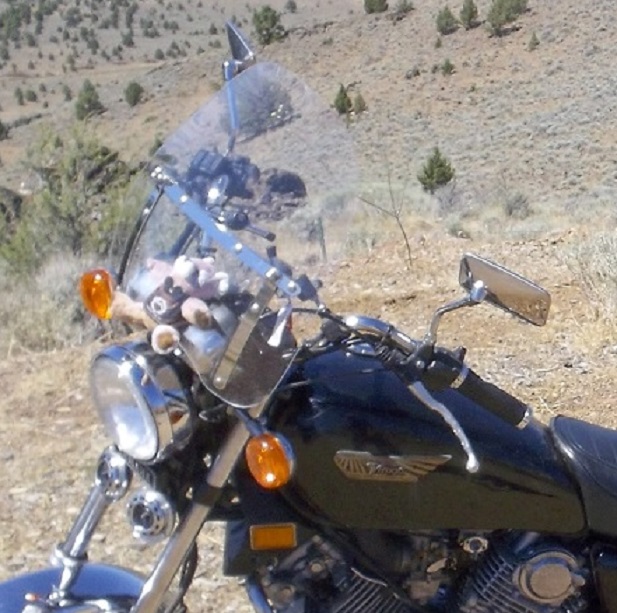 Photo 2771631