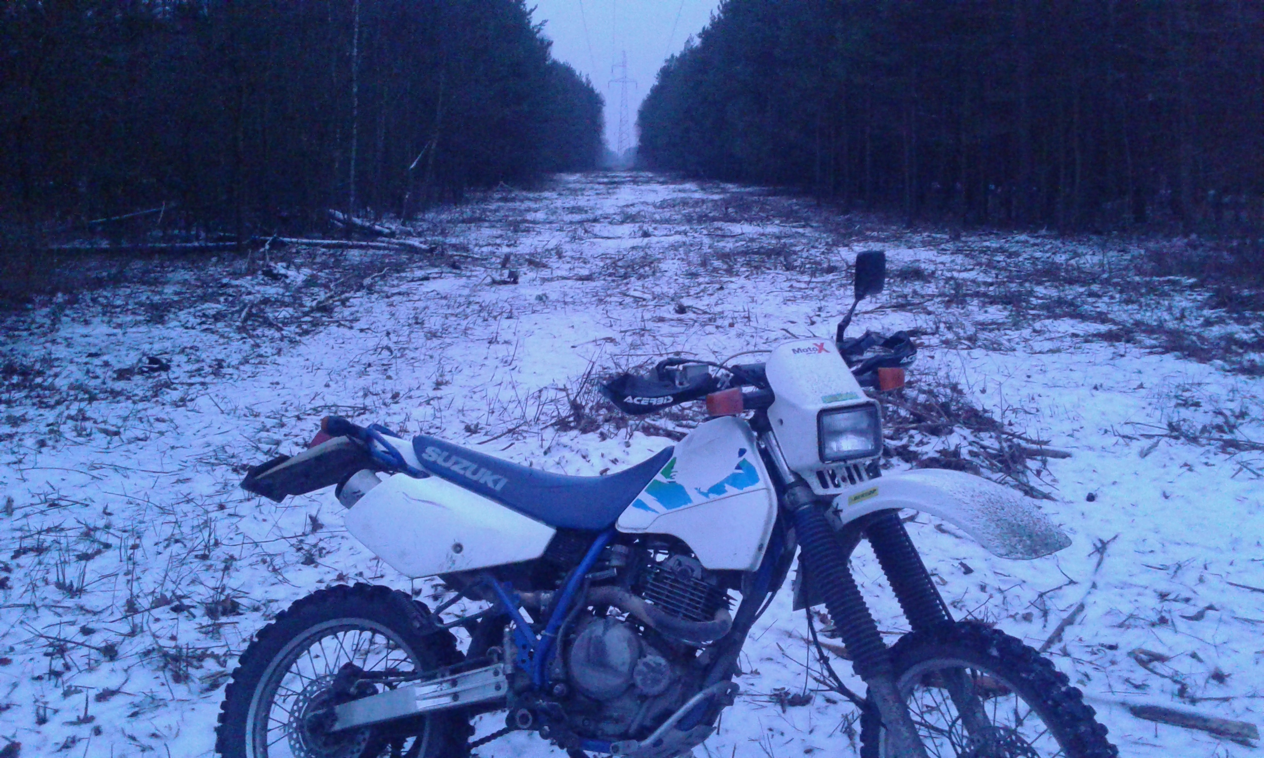 Photo 2771675