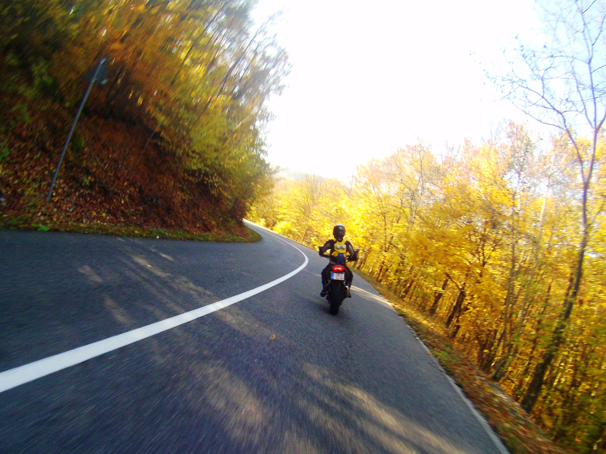 Photo 2772012