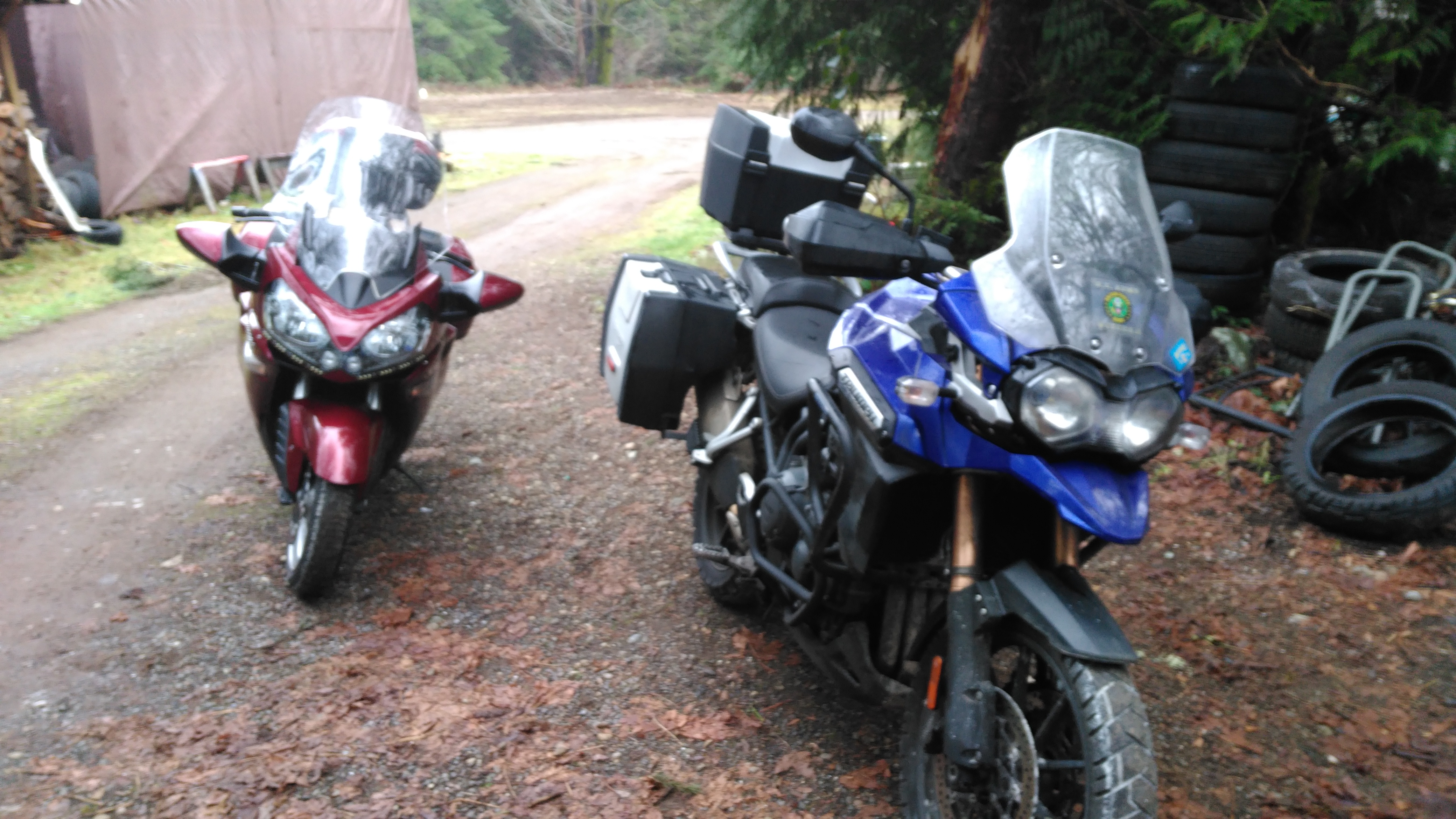 Bike Photo 2772024