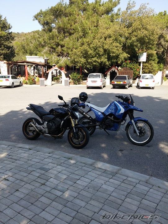 Photo 2772155
