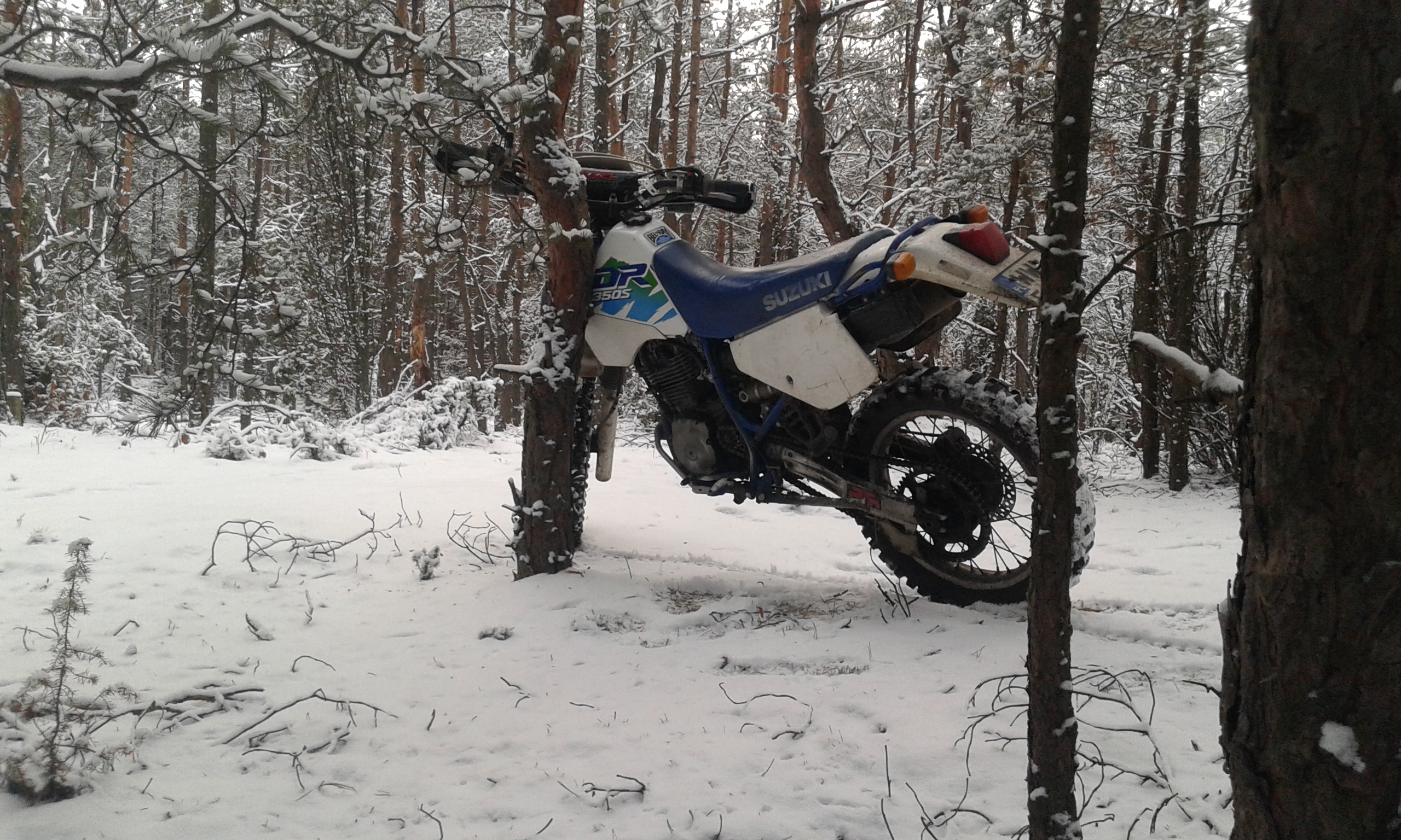Bike Photo 2772216