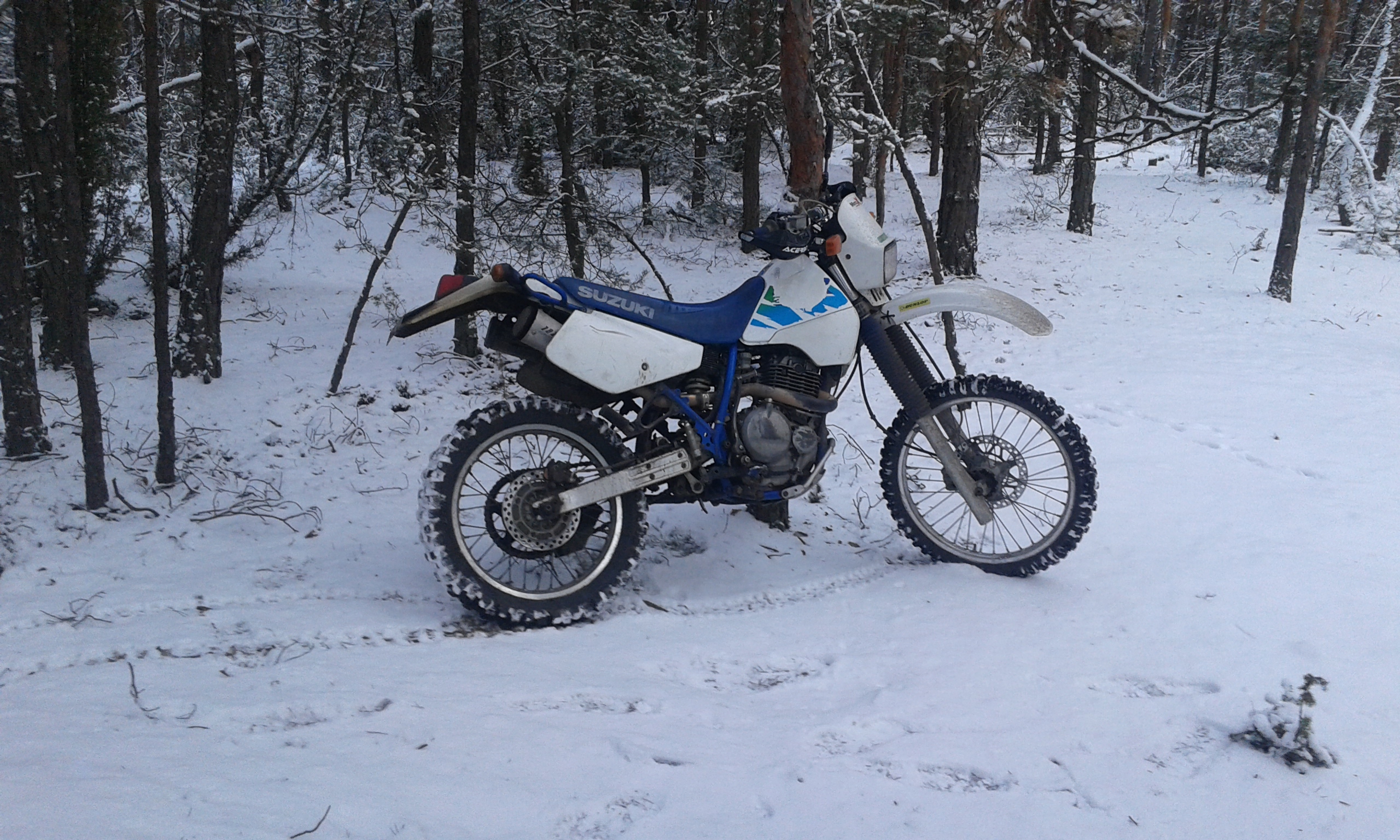 Photo 2772218