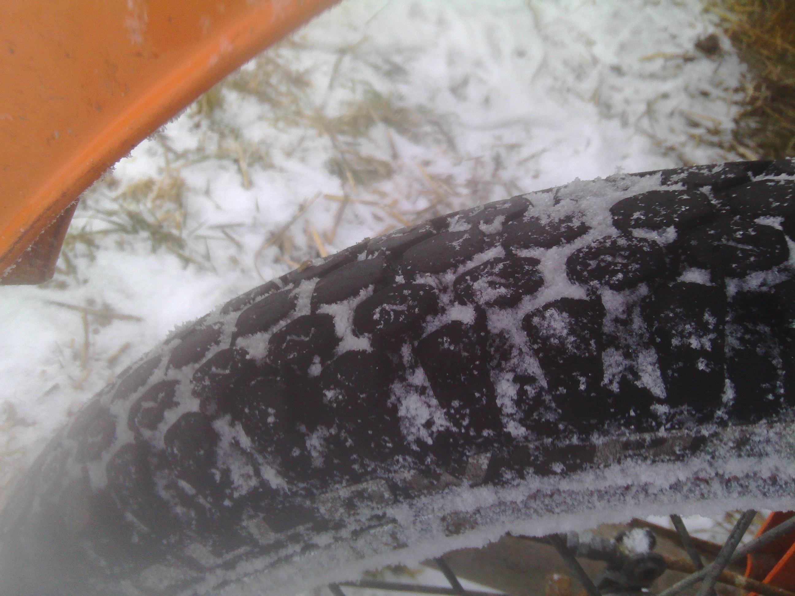 Photo 2772306